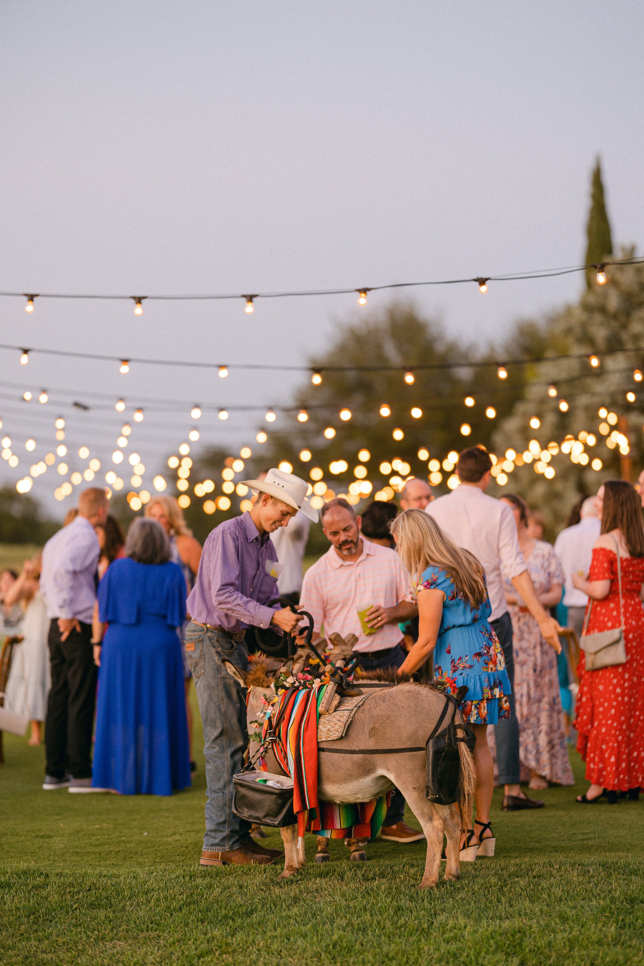 Outdoor Texas Hill Country Rehearsal Dinner