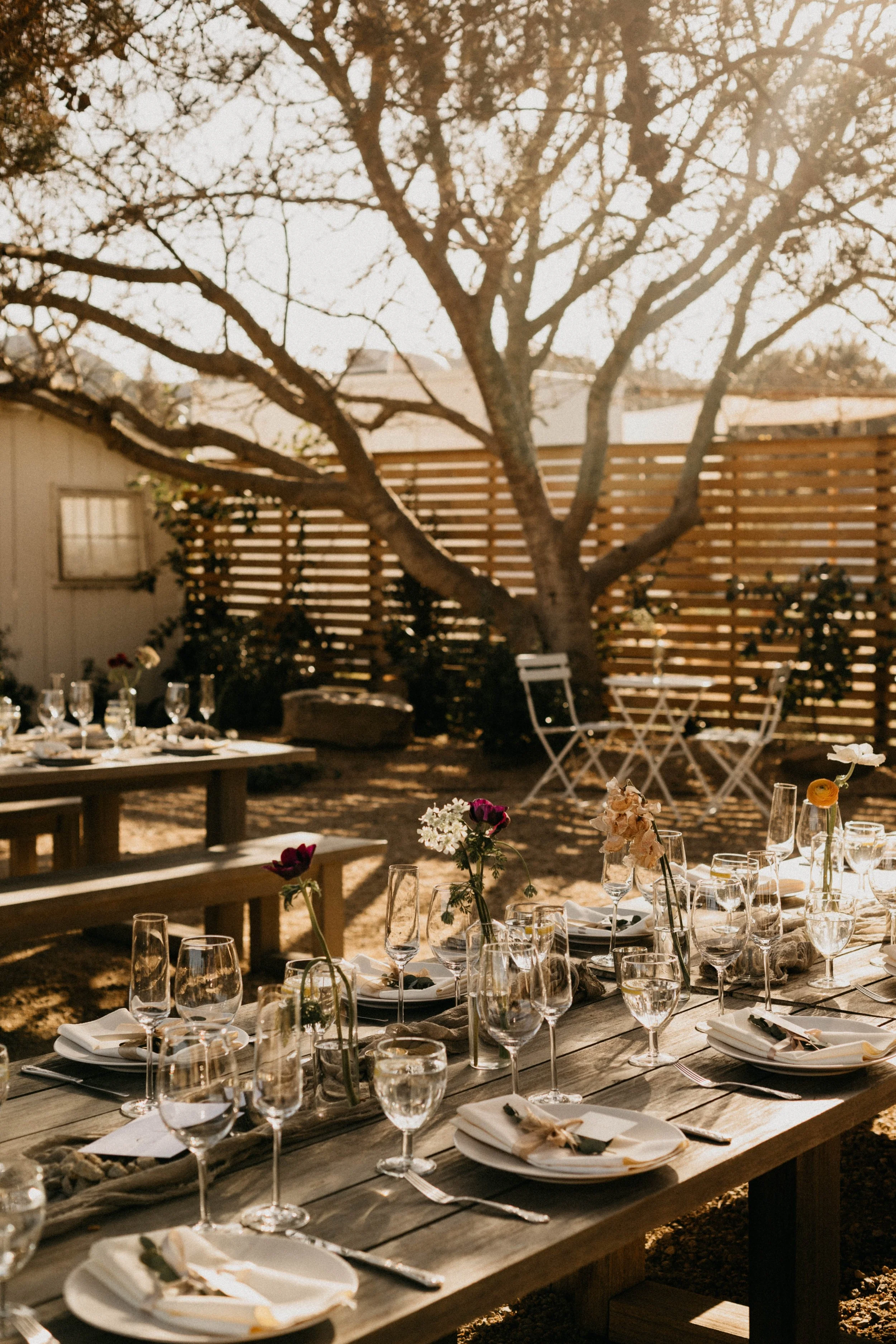 is backyard rehearsal dinner the right choice
