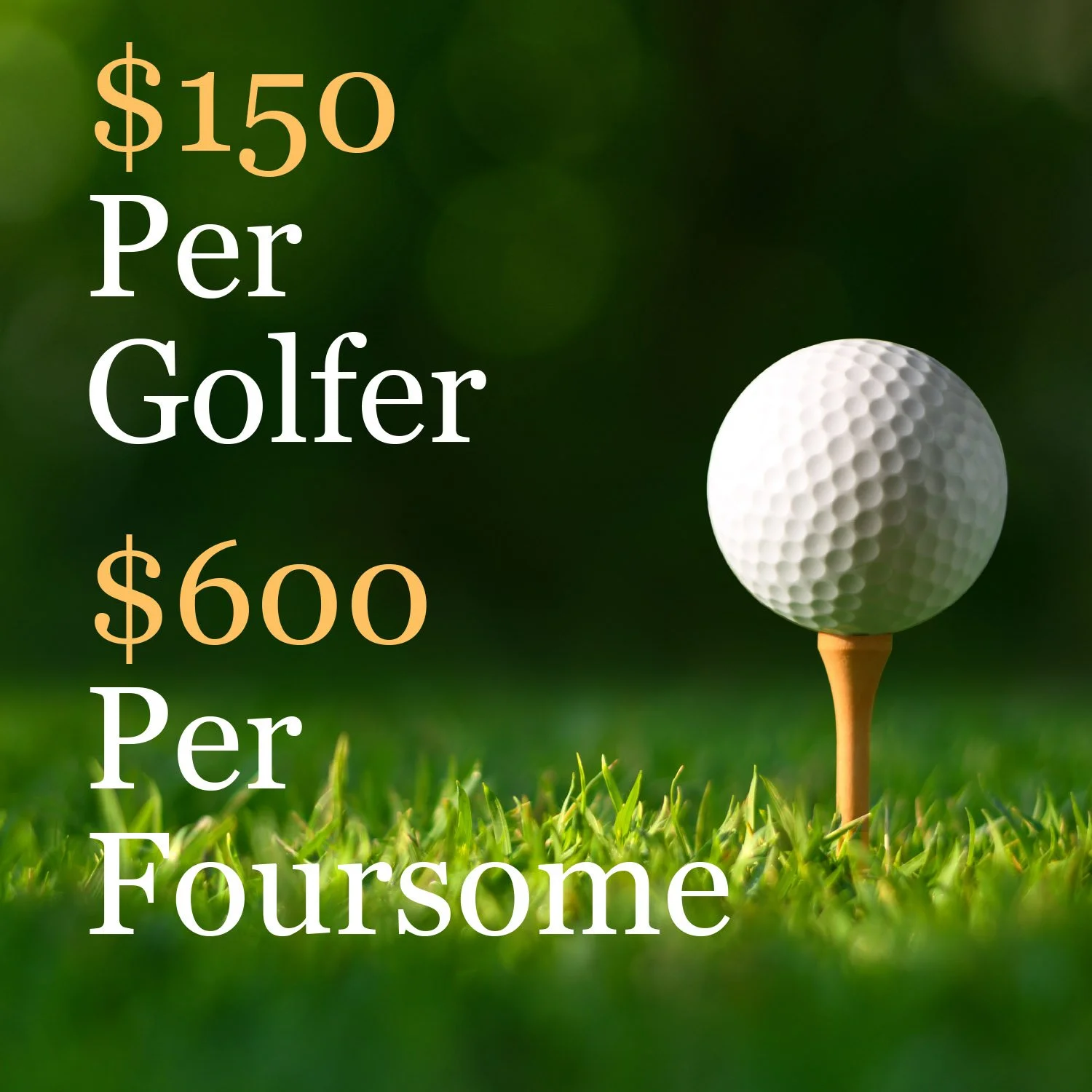 Golf 2026 Product.jpg
