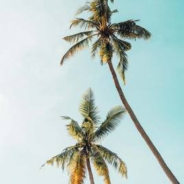 5-james-connolly-376517-unsplash_134x134_crop_center@2x.jpg