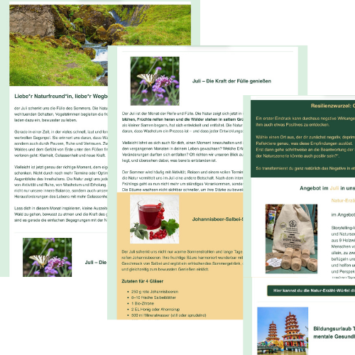 Newsletter-Projekt 1