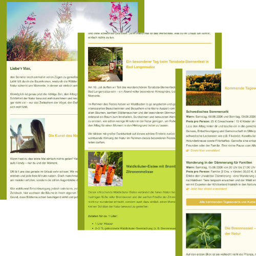 Newsletter-Projekt 2