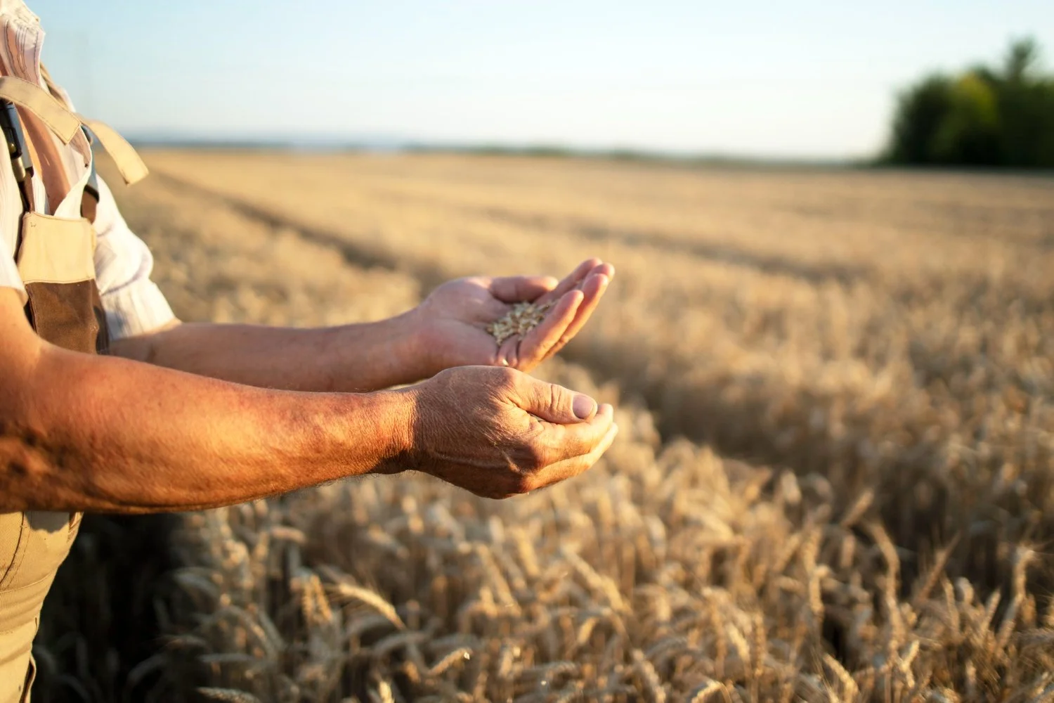 Renegociação de dívidas rurais avança no Congresso e pode aliviar crise do agro