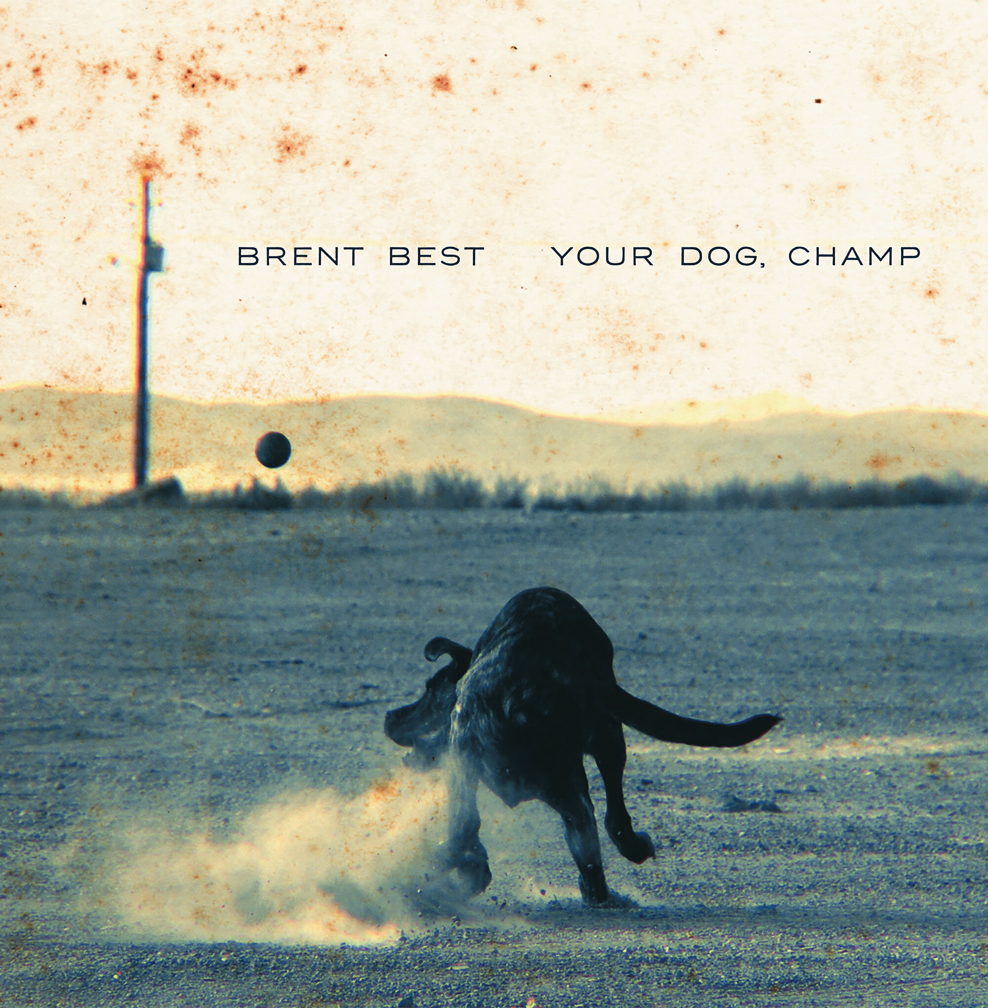 Brent-Best-Your-Dog-Champ.jpg