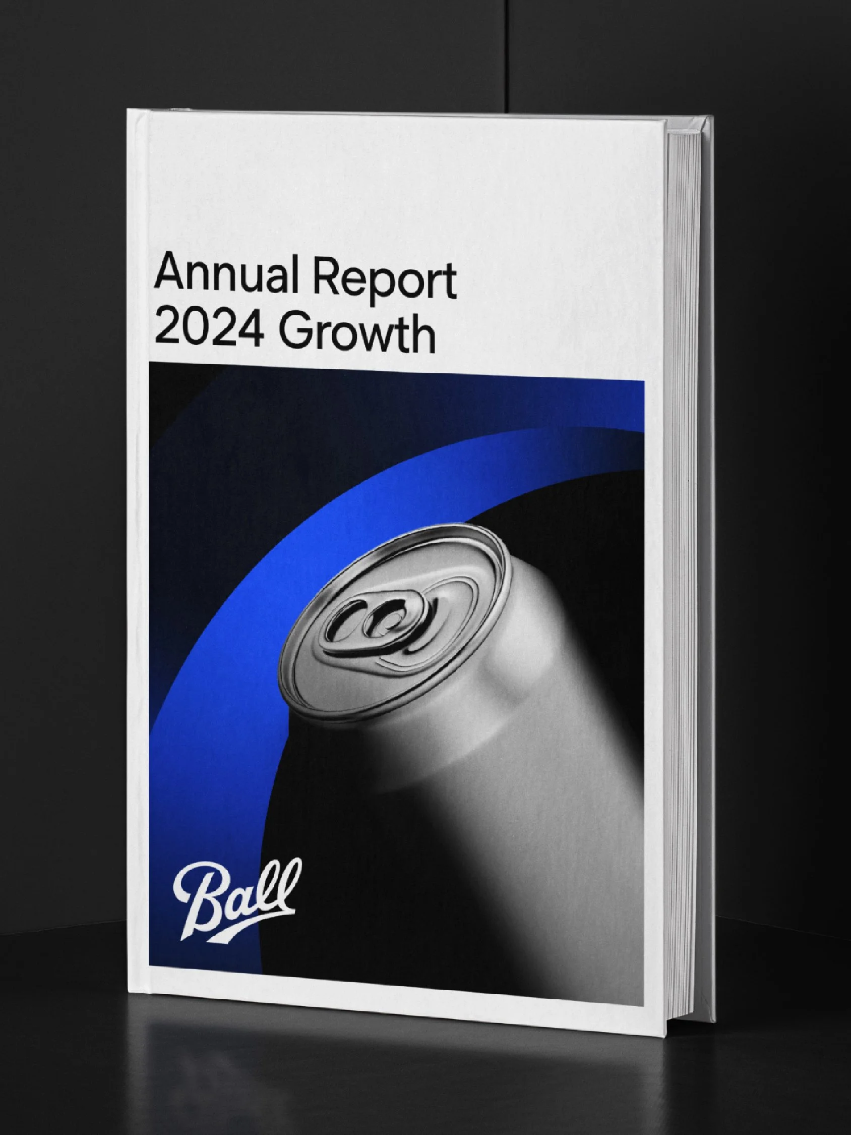 Ball_PortfolioCaseStudy_EG01-08.jpg