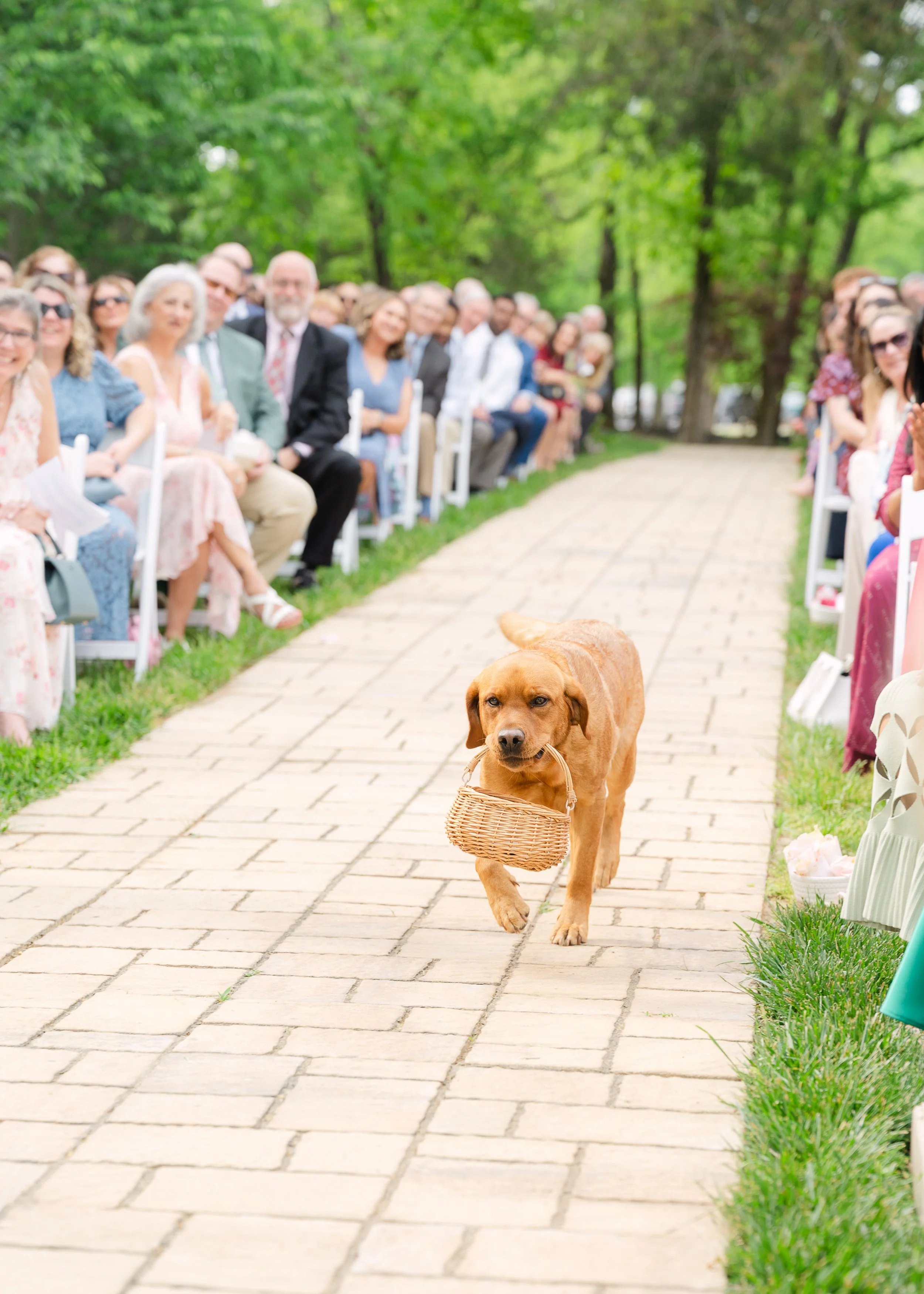 Annie_Harrison_Wedding_344.jpg