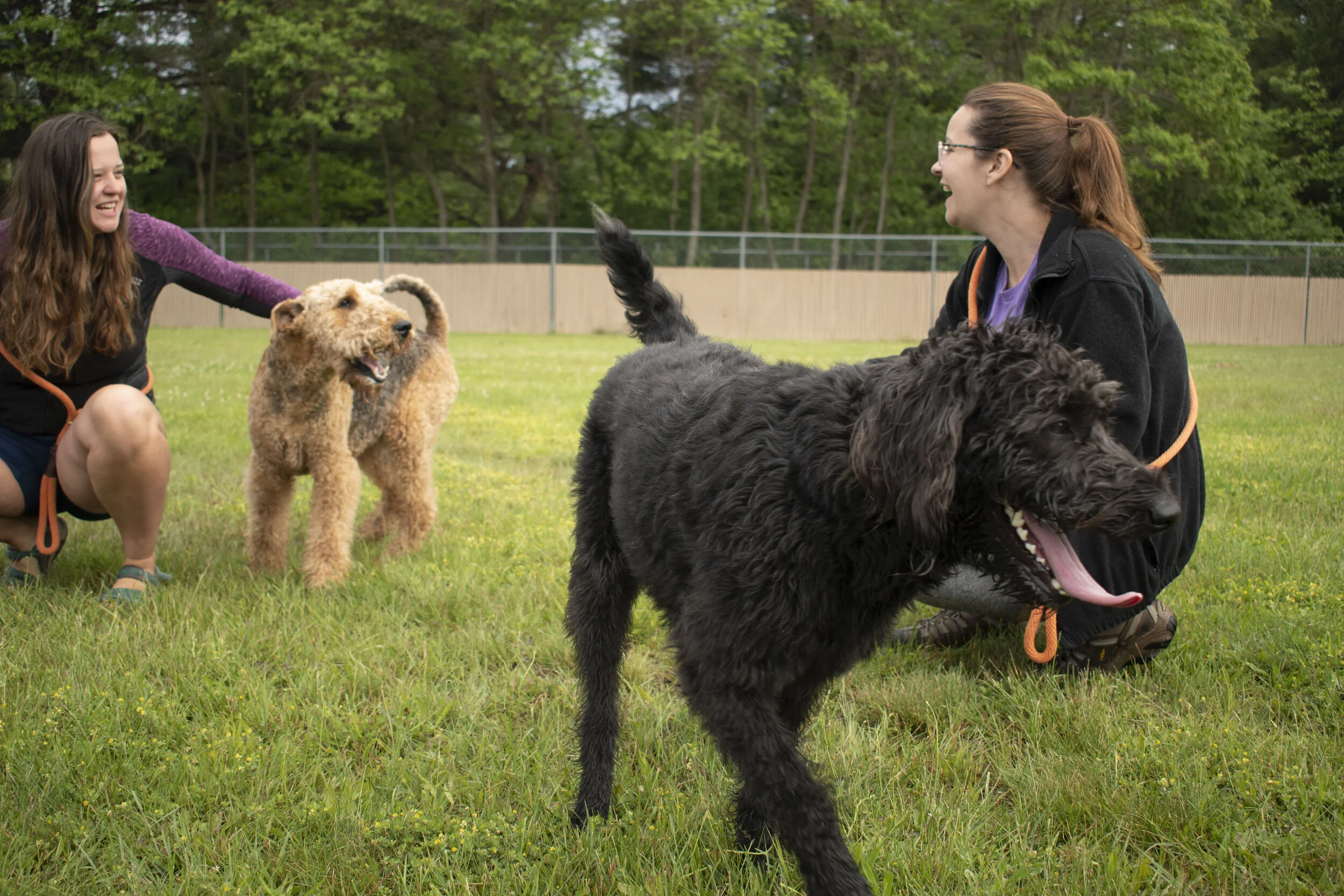 Dog Star Ranch