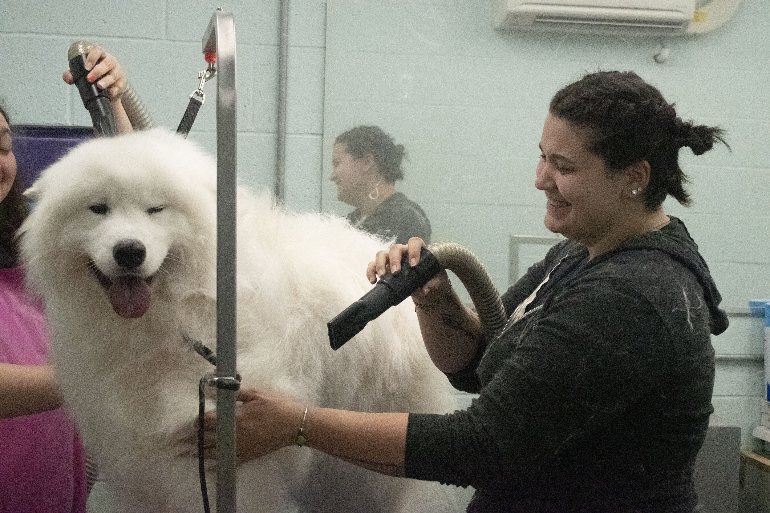 Grooming — Dog Star Ranch