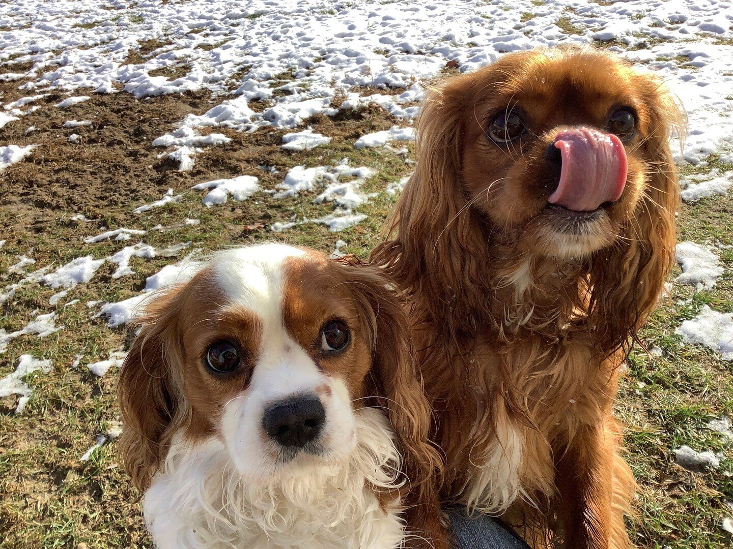 Happy Monday from these two cuties!