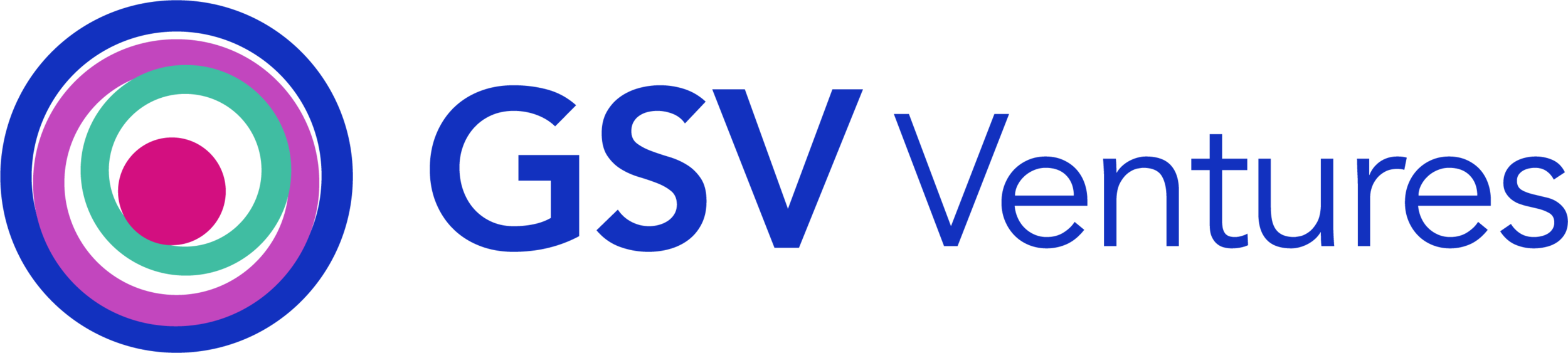 GSV Ventures.png