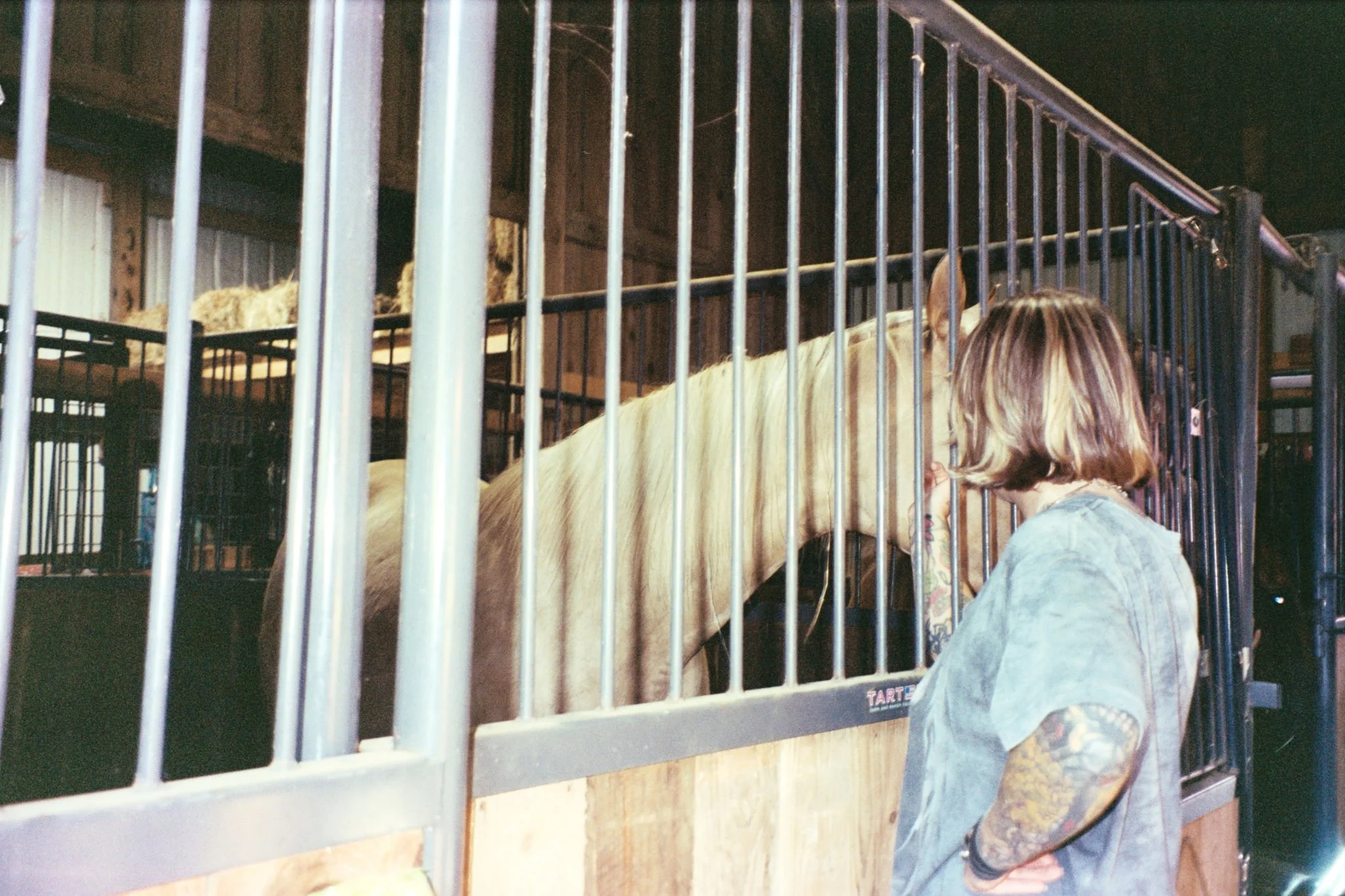 5071566659246334545 2.JPG