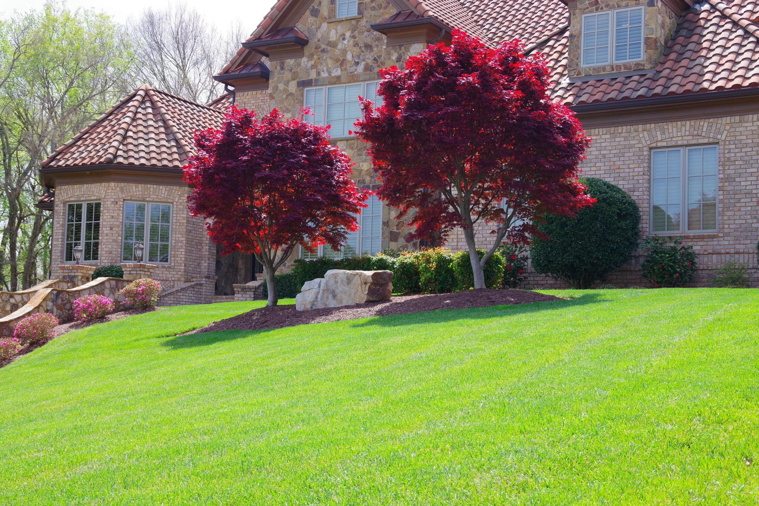 Front yard of a house with vibrant green grass, two red-leafed trees, some bushes, and a stone house with tile roof in the background.
