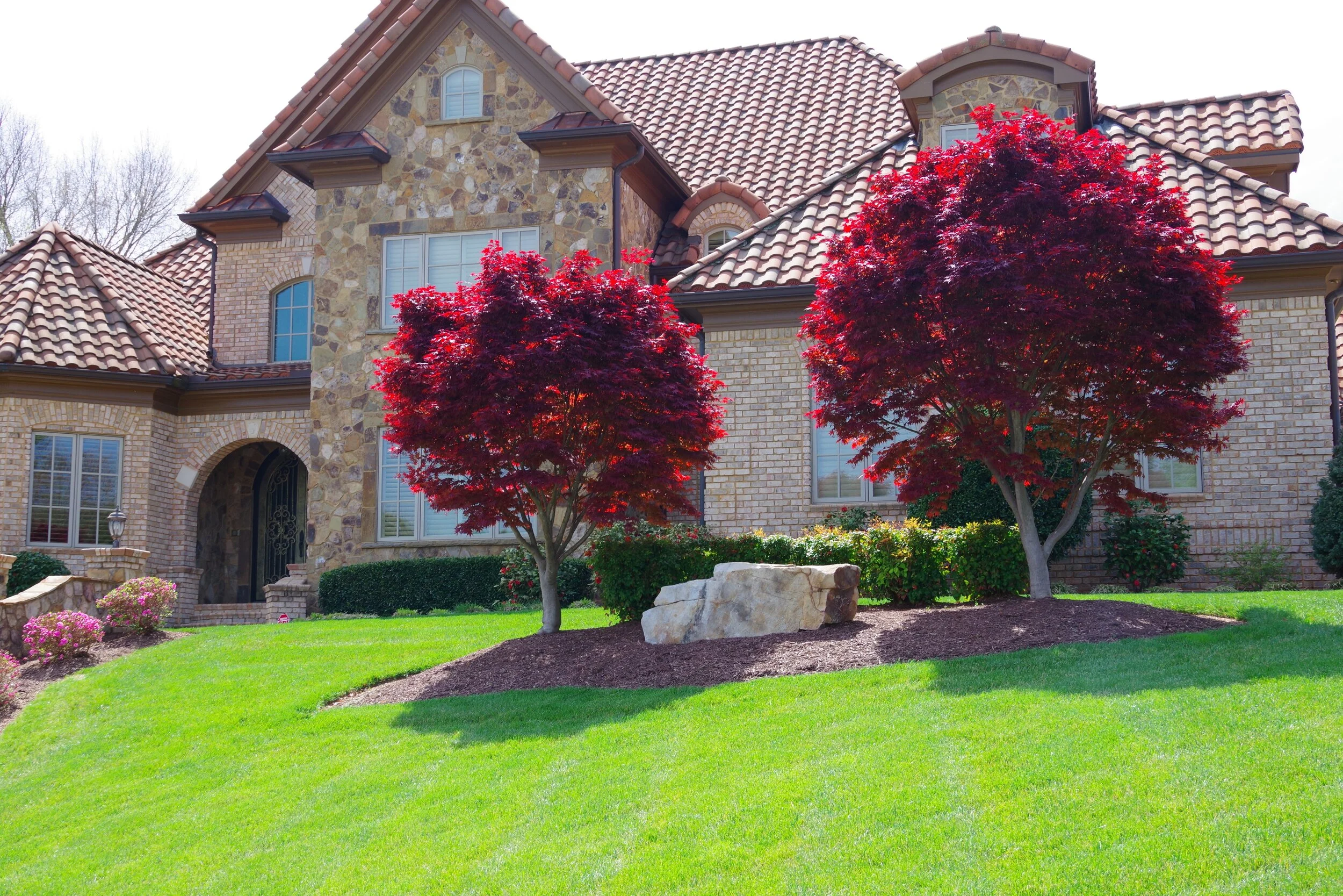 Front yard of a large house with a stone and brick facade, featuring two vibrant red trees, a large rock, green grass, shrubs, and flower beds.