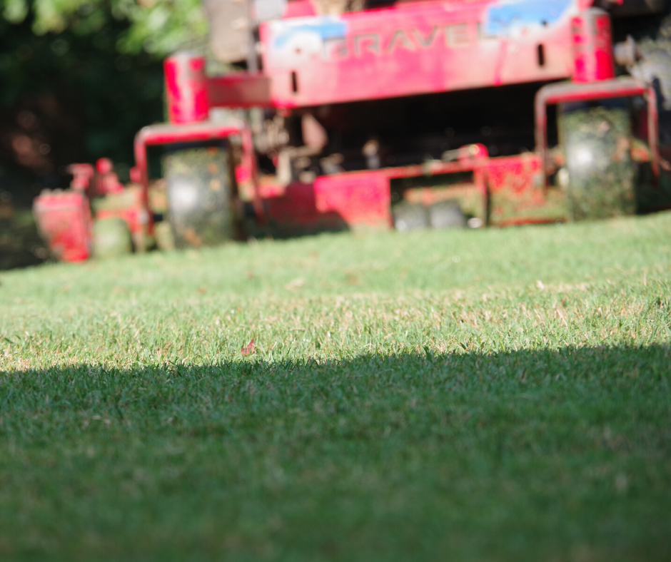 Close-up of green grass with a red lawn mower in the background, slightly blurred.