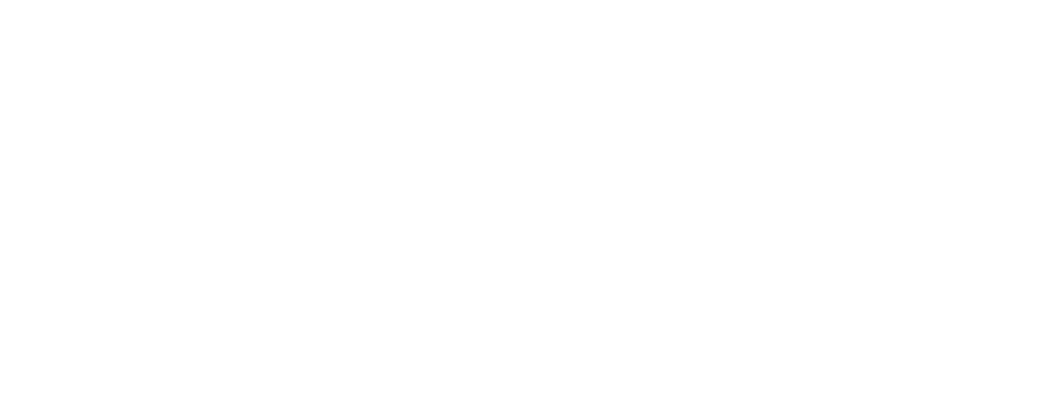 Neon sign of the Carolina Hurricanes logo, an American ice hockey team, with the abbreviation 'HTC' in the middle