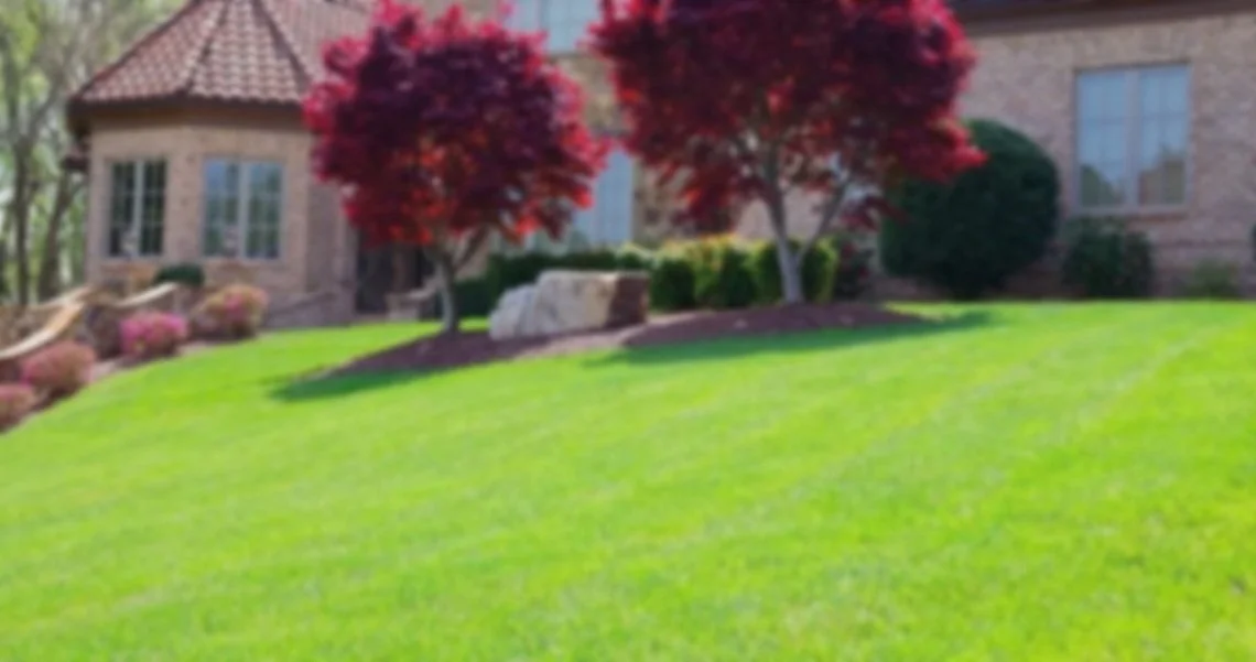 Blurred image of a house with a well-manicured green lawn, two red-leafed trees, and some bushes and rocks.