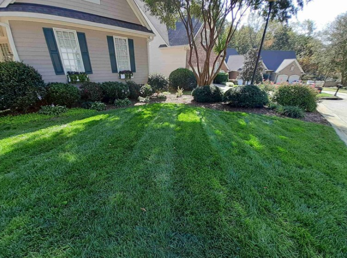 A front lawn with lush green grass and a bed of shrubs and trees near a house with white siding and blue shutters.