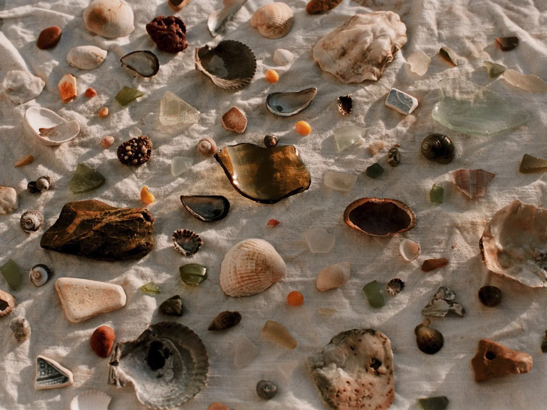 A variety of seashells and small rocks scattered on a white fabric surface.