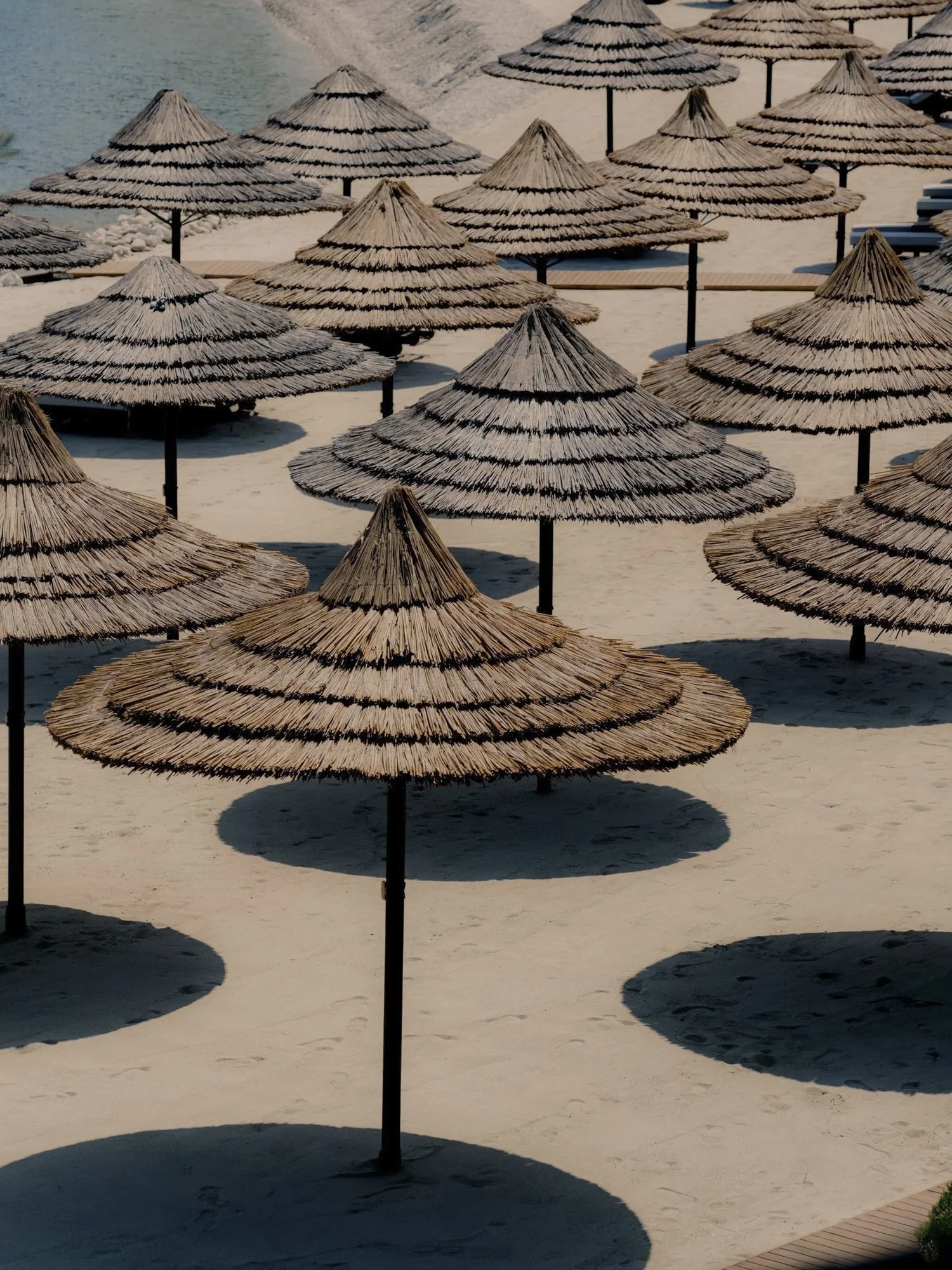 Multiple straw beach umbrellas arranged on a sandy beach near the water, casting shadows on the sand.