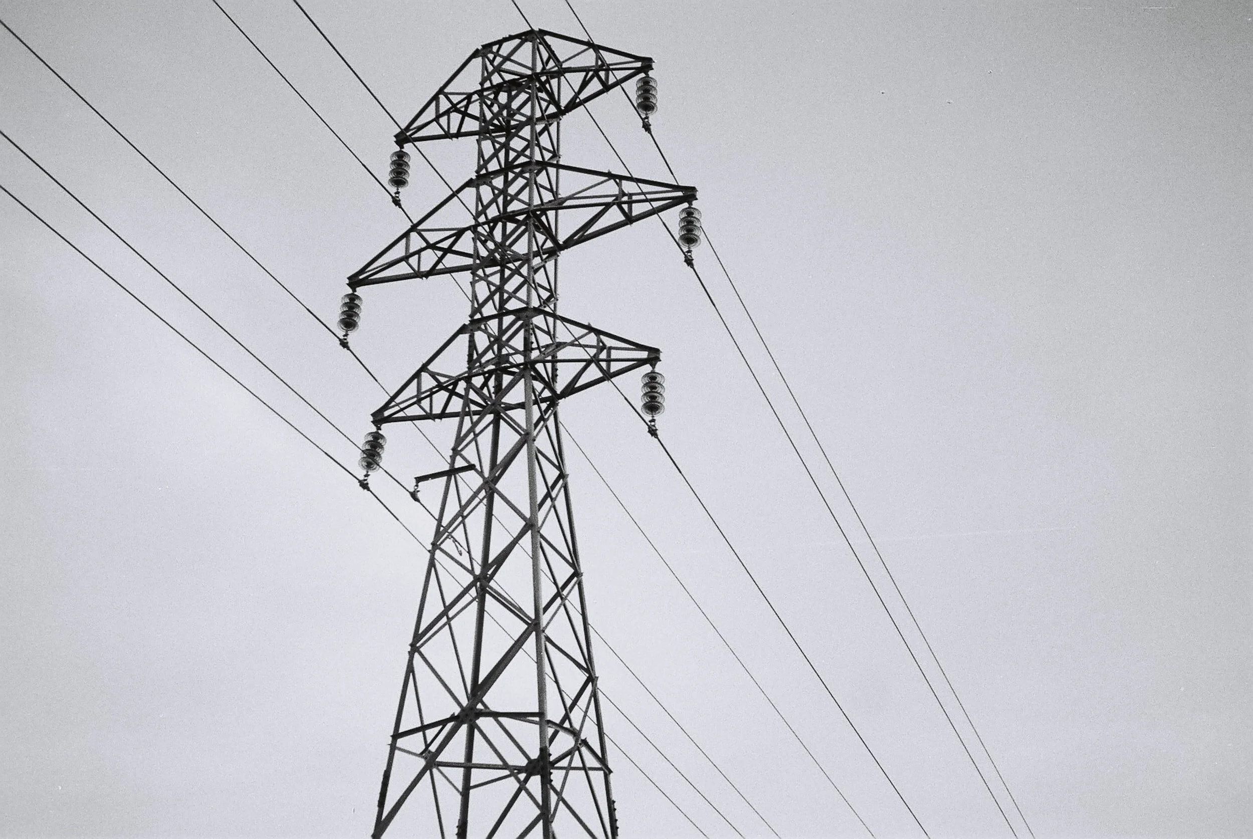 PFT’s Meltz in The Smithfield Times