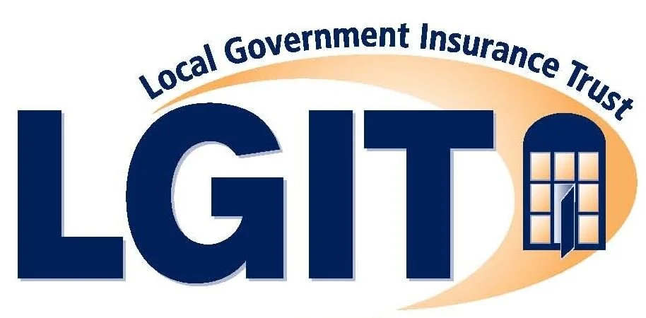 LGIT logo.jpeg