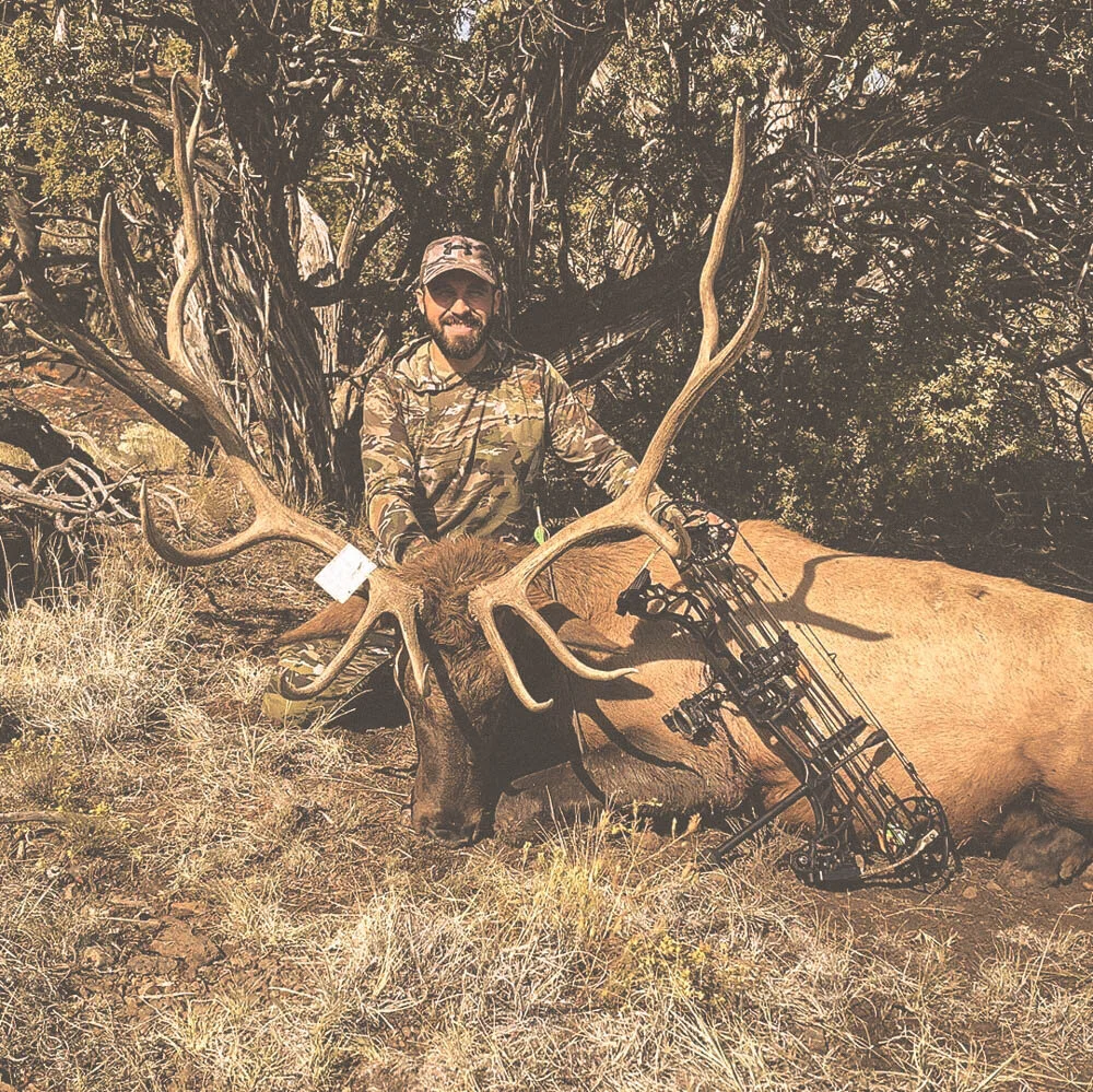 Arizona Elk Hunts