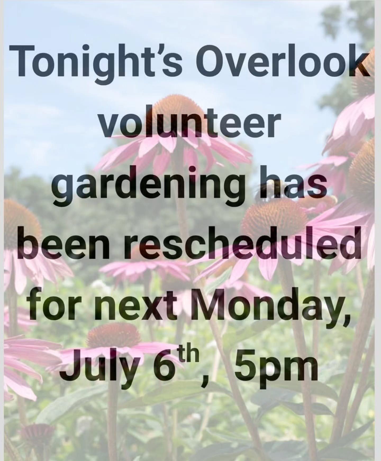 Overlook Gardening has been rescheduled to next  Monday!

Stay cool &amp; hydrated- check on your friends and neighbors this week if you can!!

See you in the garden on July 5th!