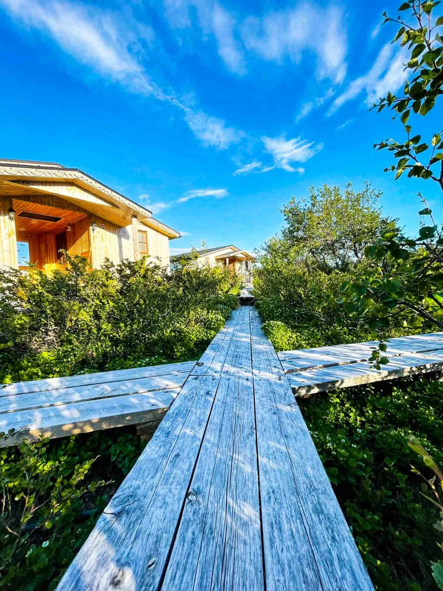 Mako instagram-1602.jpg