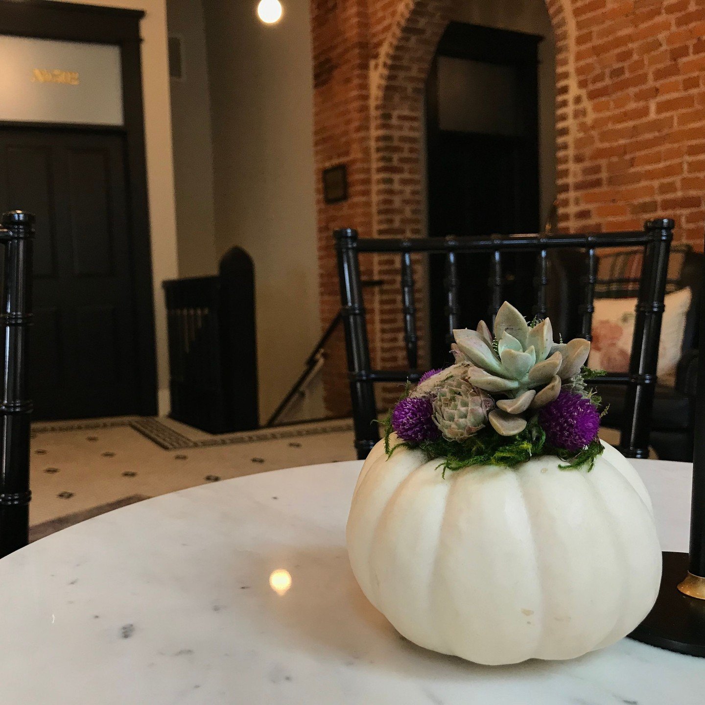 Did you miss your stay with us for one of your favorite fall events? Get ahead of the game and make your 2025 reservations today! 🍂⁠
⁠
Visit our website to browse our suites and book your stay. Link in bio