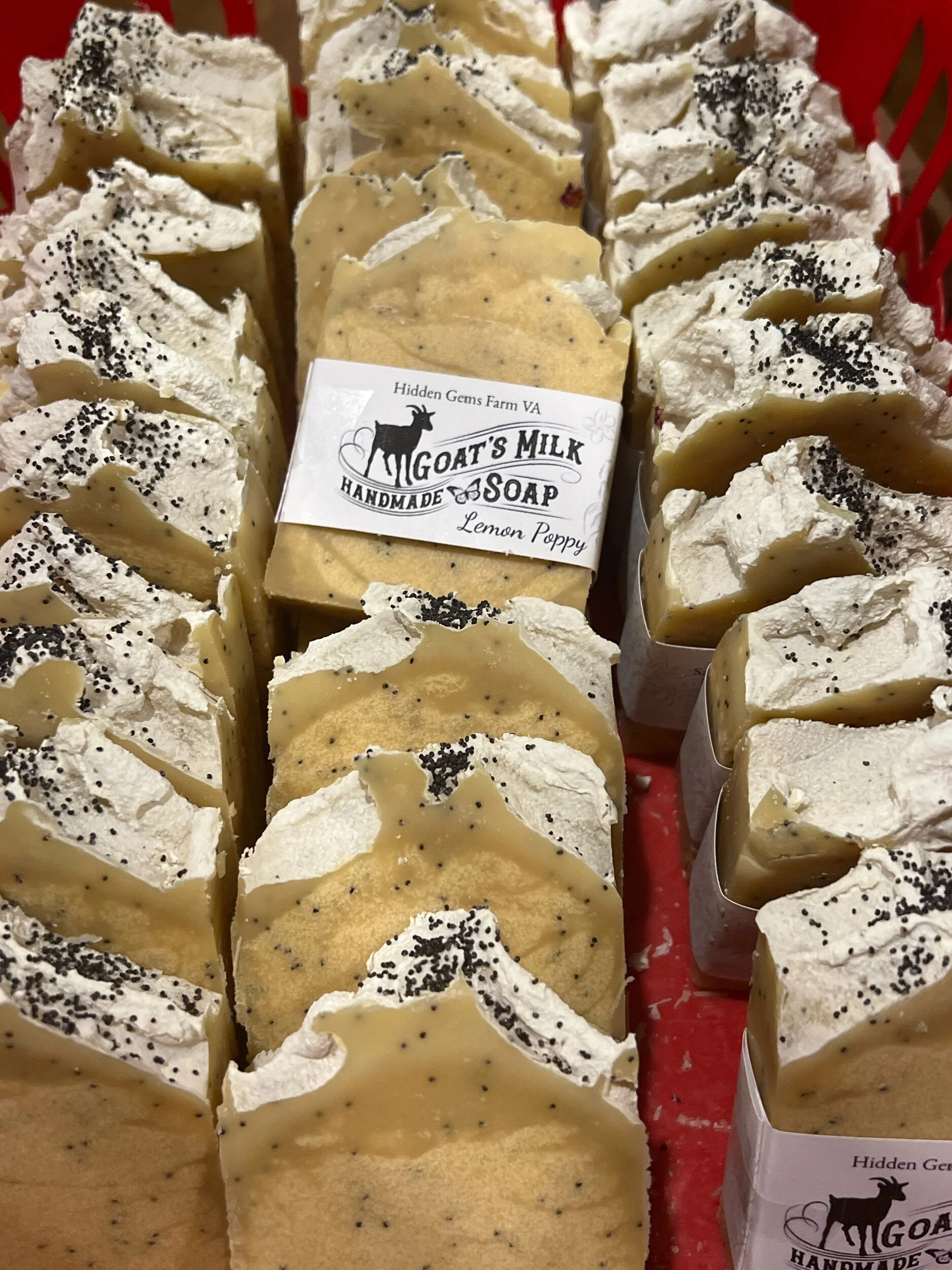 Store 2 — Hidden Gems Farm