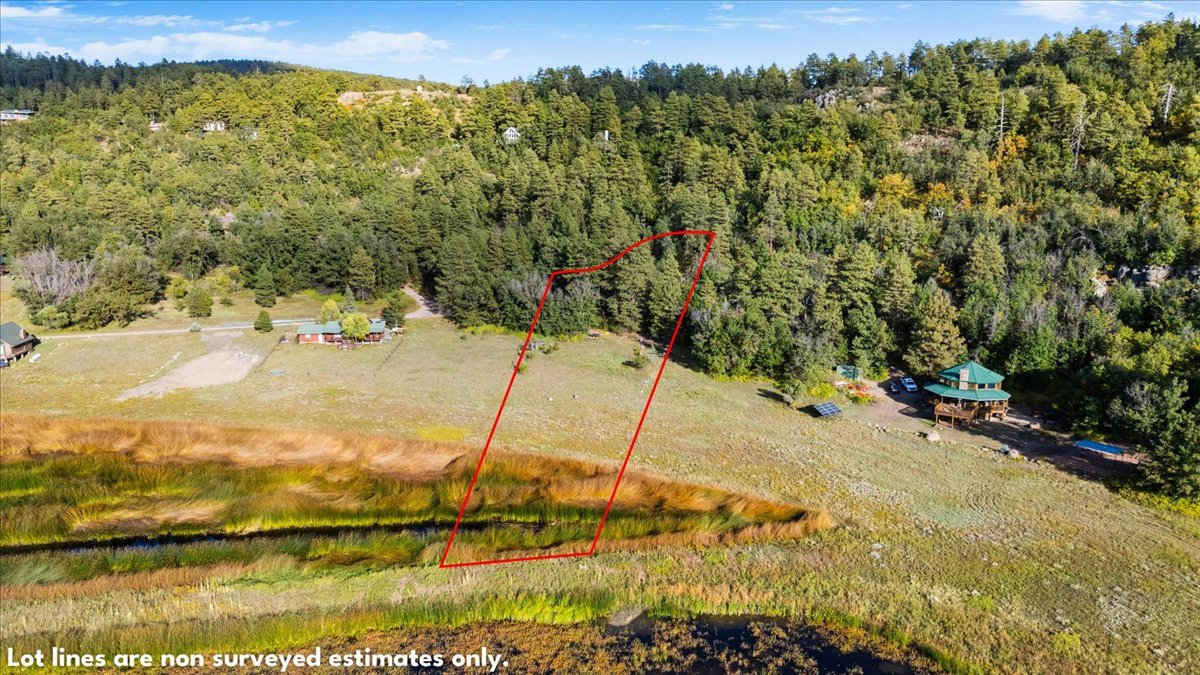04-Aerial View NW Lot Lines.jpg