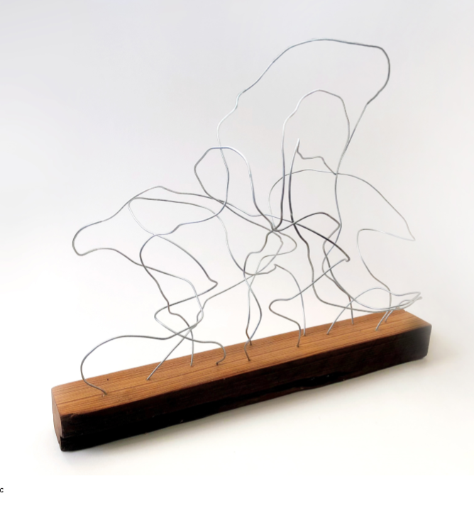 Wire Sculpture 1.png