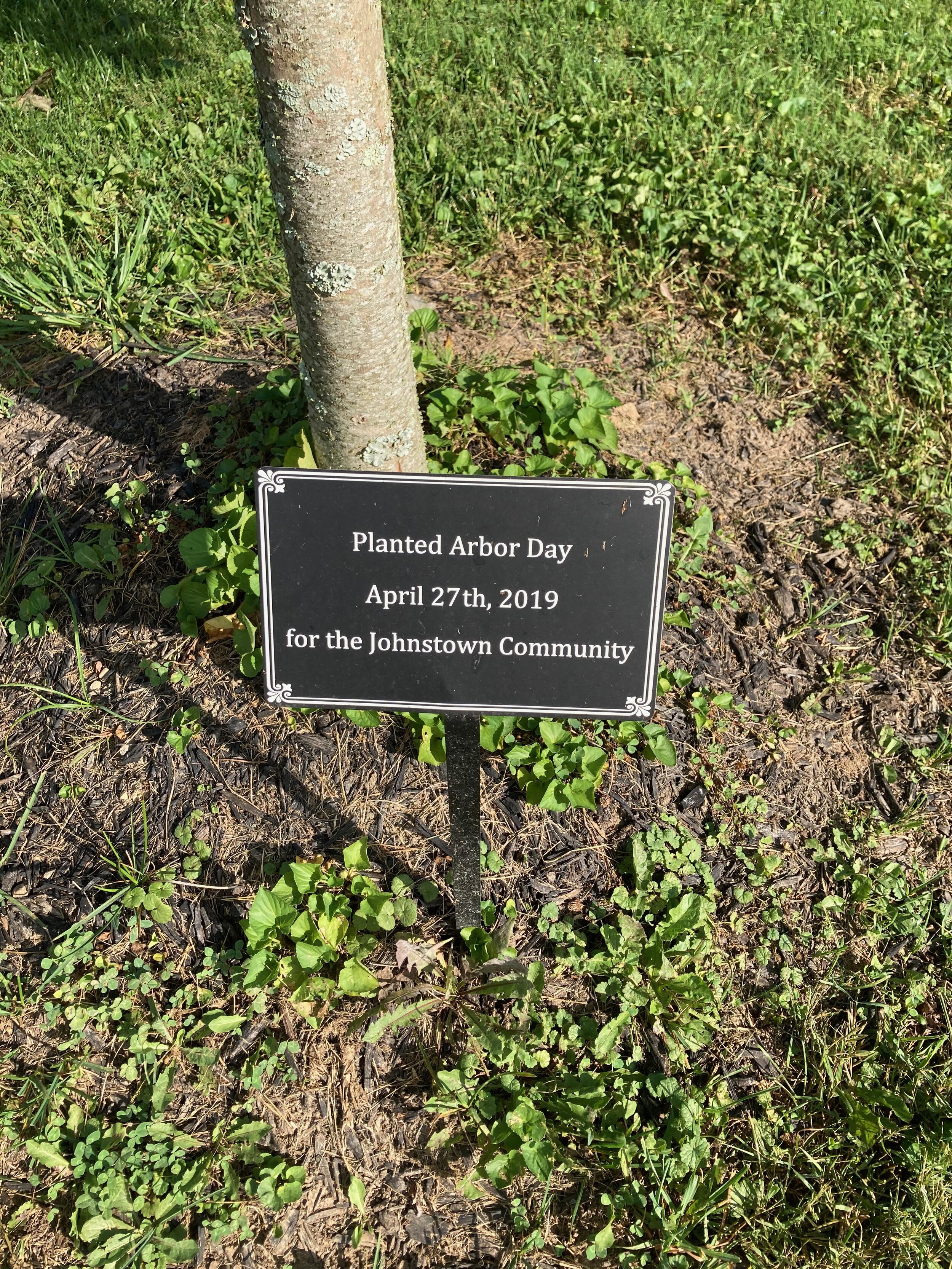 IMG_0671.jpeg