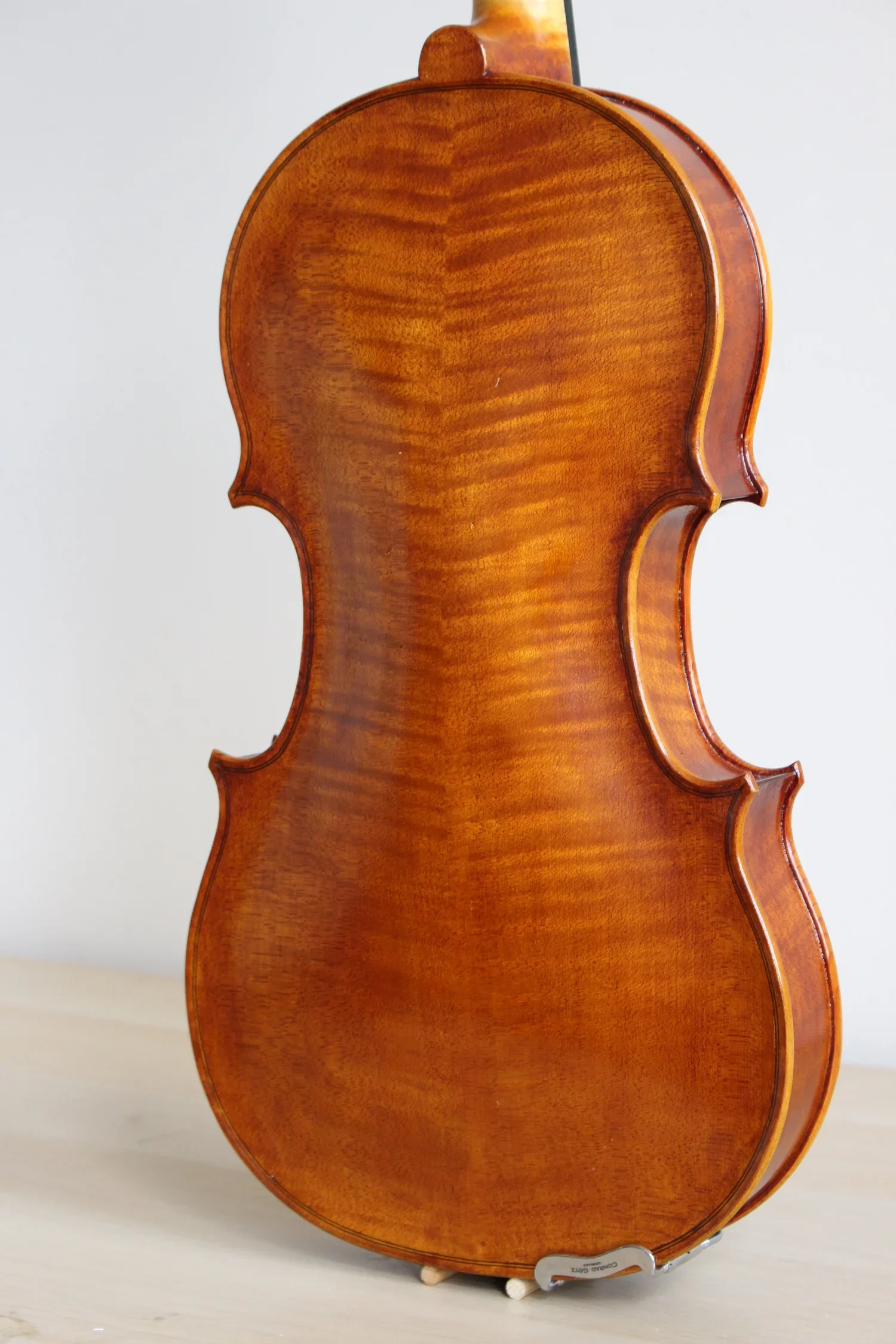 viola back.webp
