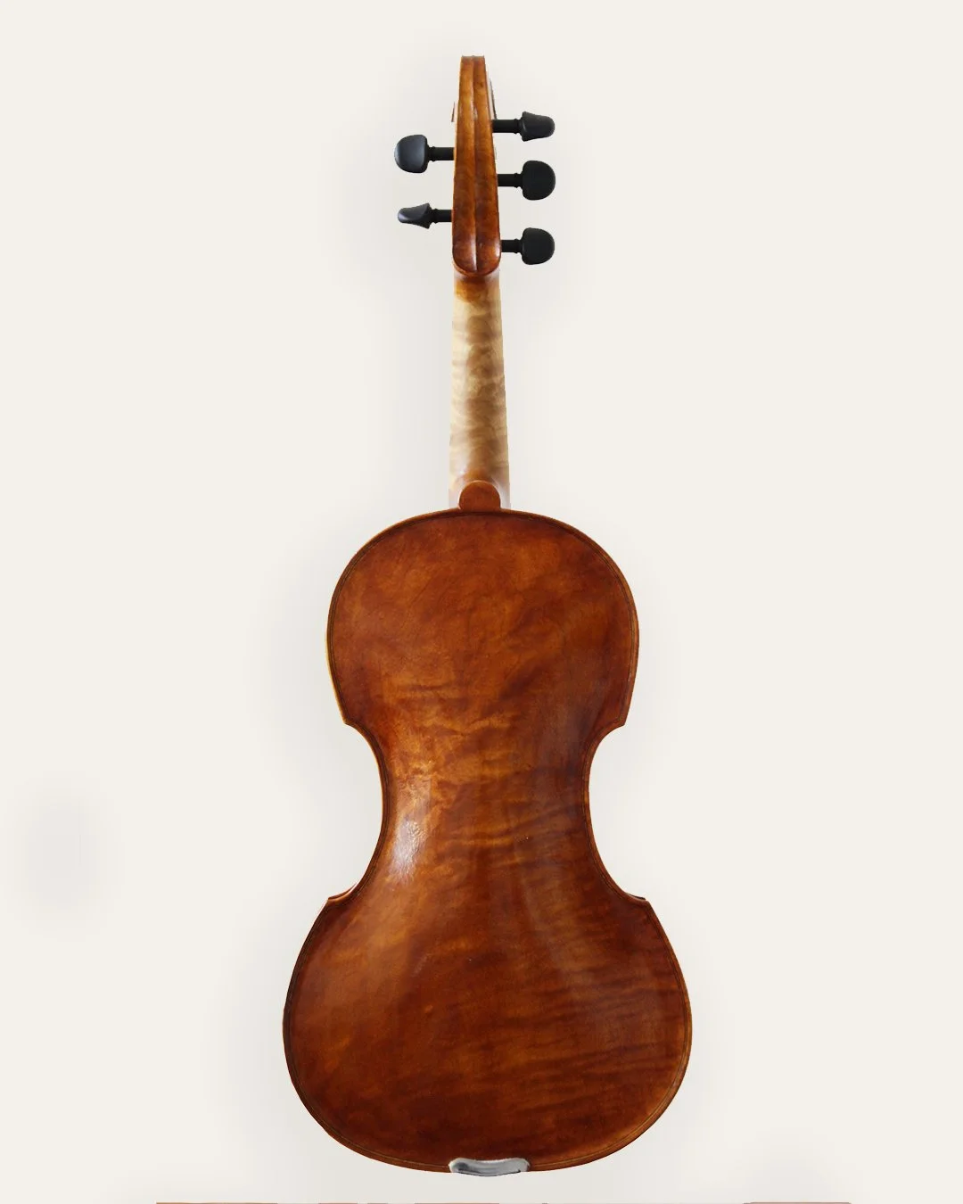 5-string-back-edit.jpg