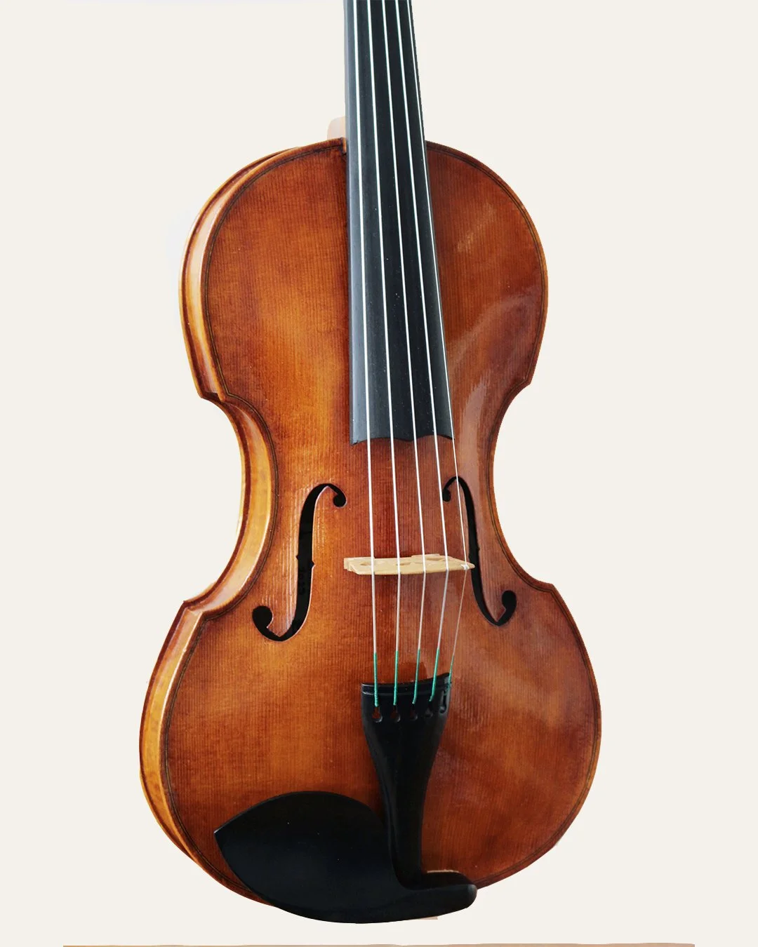 5-string-front-zoom-edit.jpg