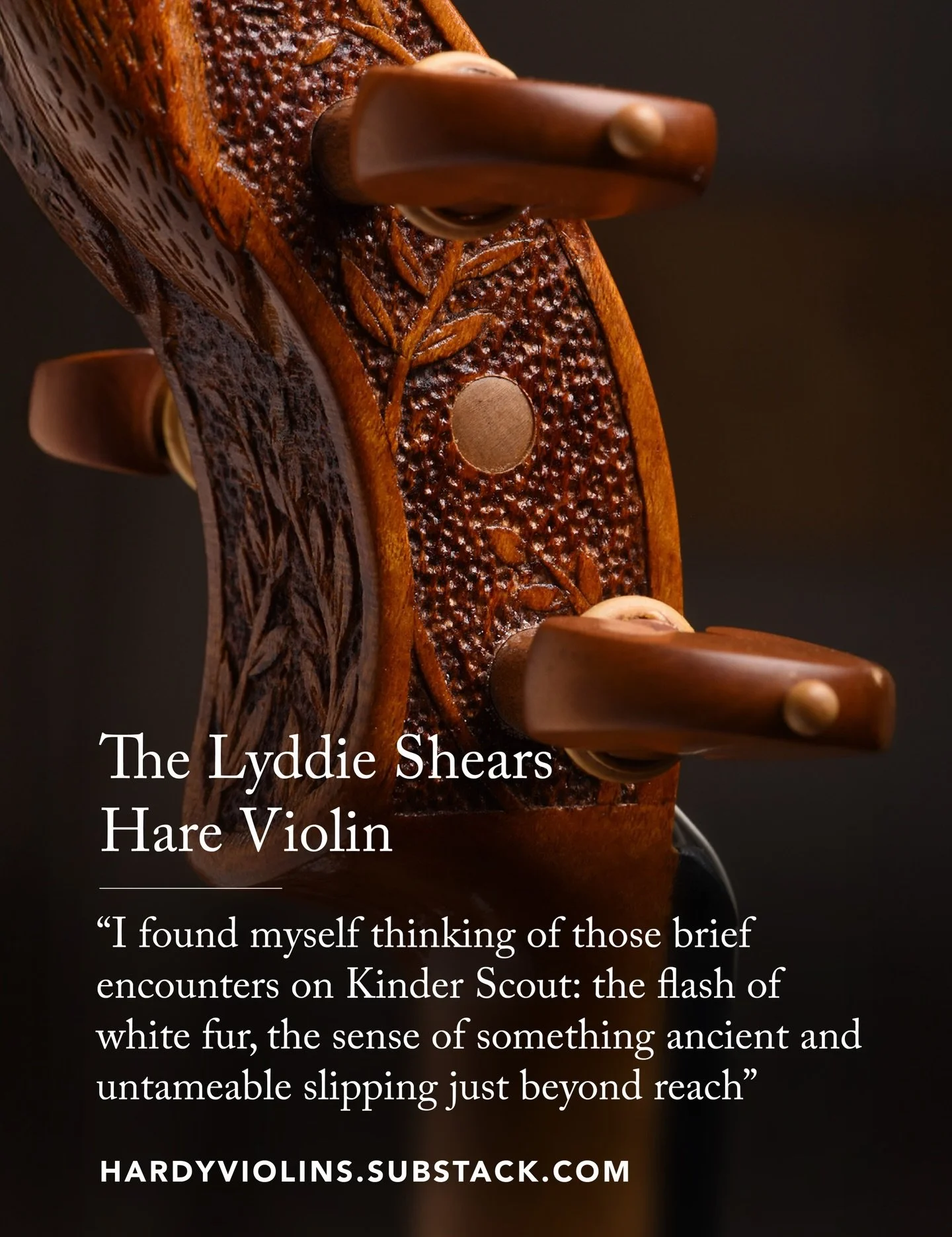 My latest Substack essay dives into my creative process behind designing a violin inspired by a shapeshifting witch.

I&rsquo;m also beginning a long-term &ldquo;wish list&rdquo; of themed violins I&rsquo;d love to bring to life over the coming years