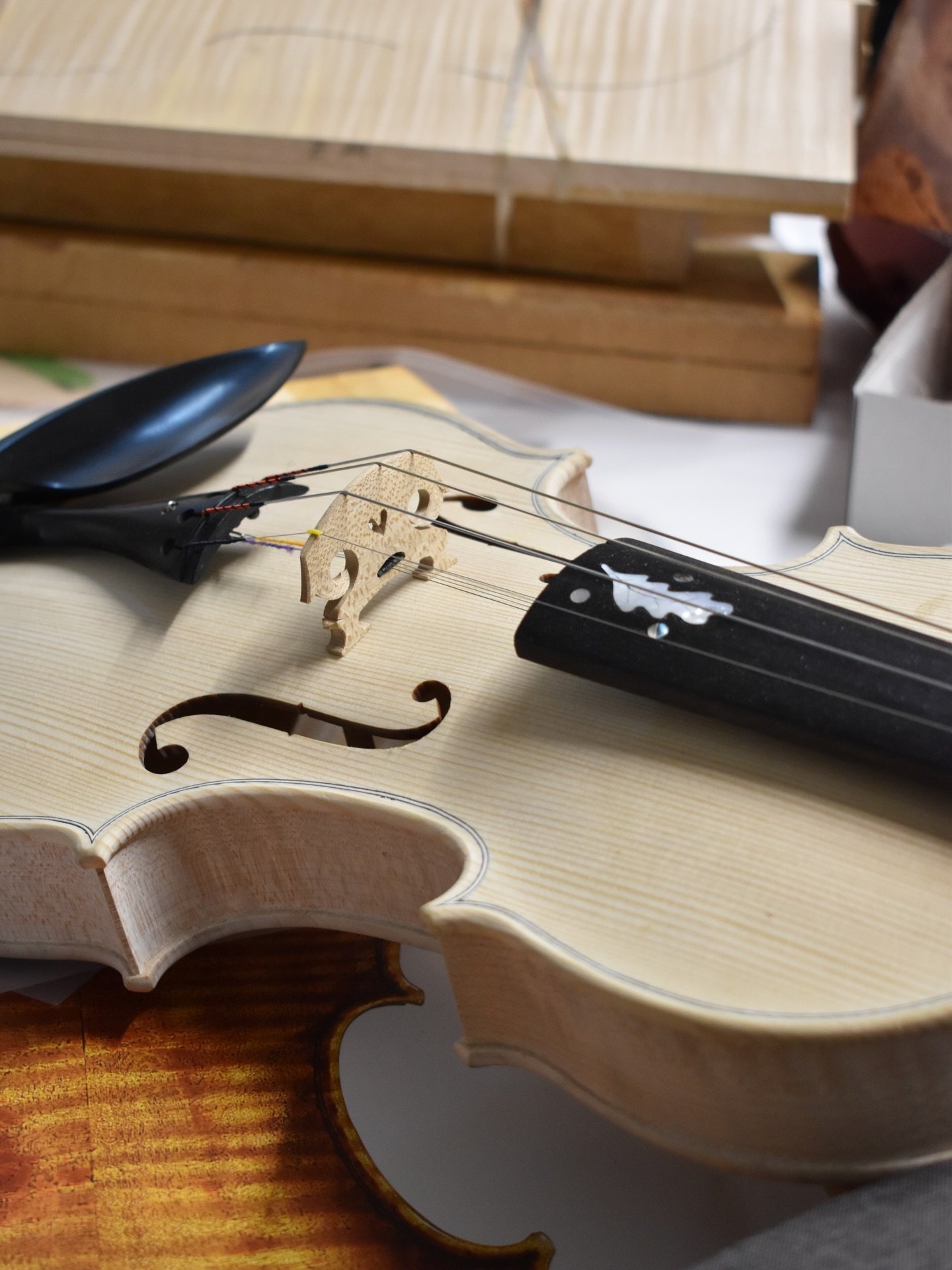At the end of last year I began quietly working on the prototype for something I&rsquo;ve long imagined: a violin that feels entirely traditional, but carries four sympathetic strings beneath the fingerboard.

The real puzzle was the pegbox as I didn