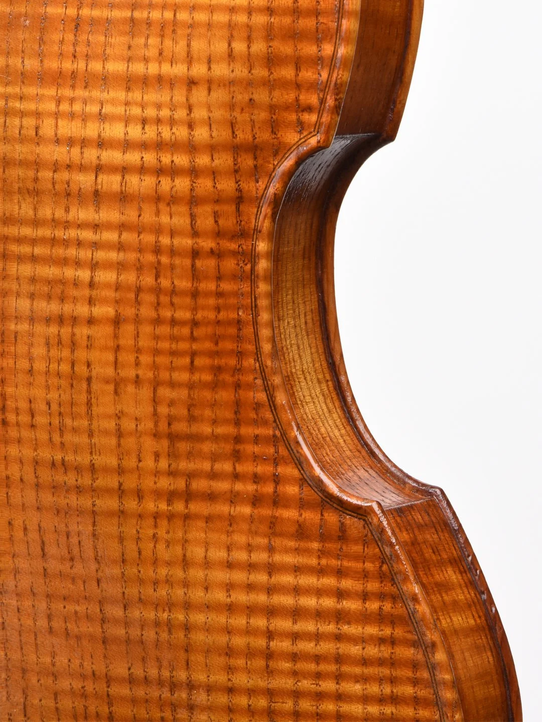 back close up.jpg