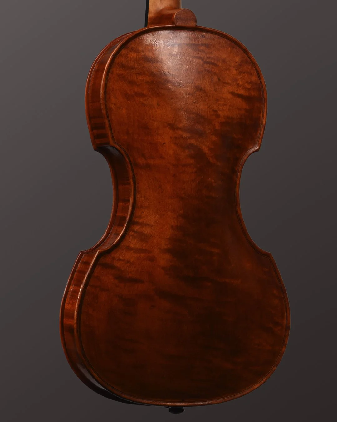 back01.jpg
