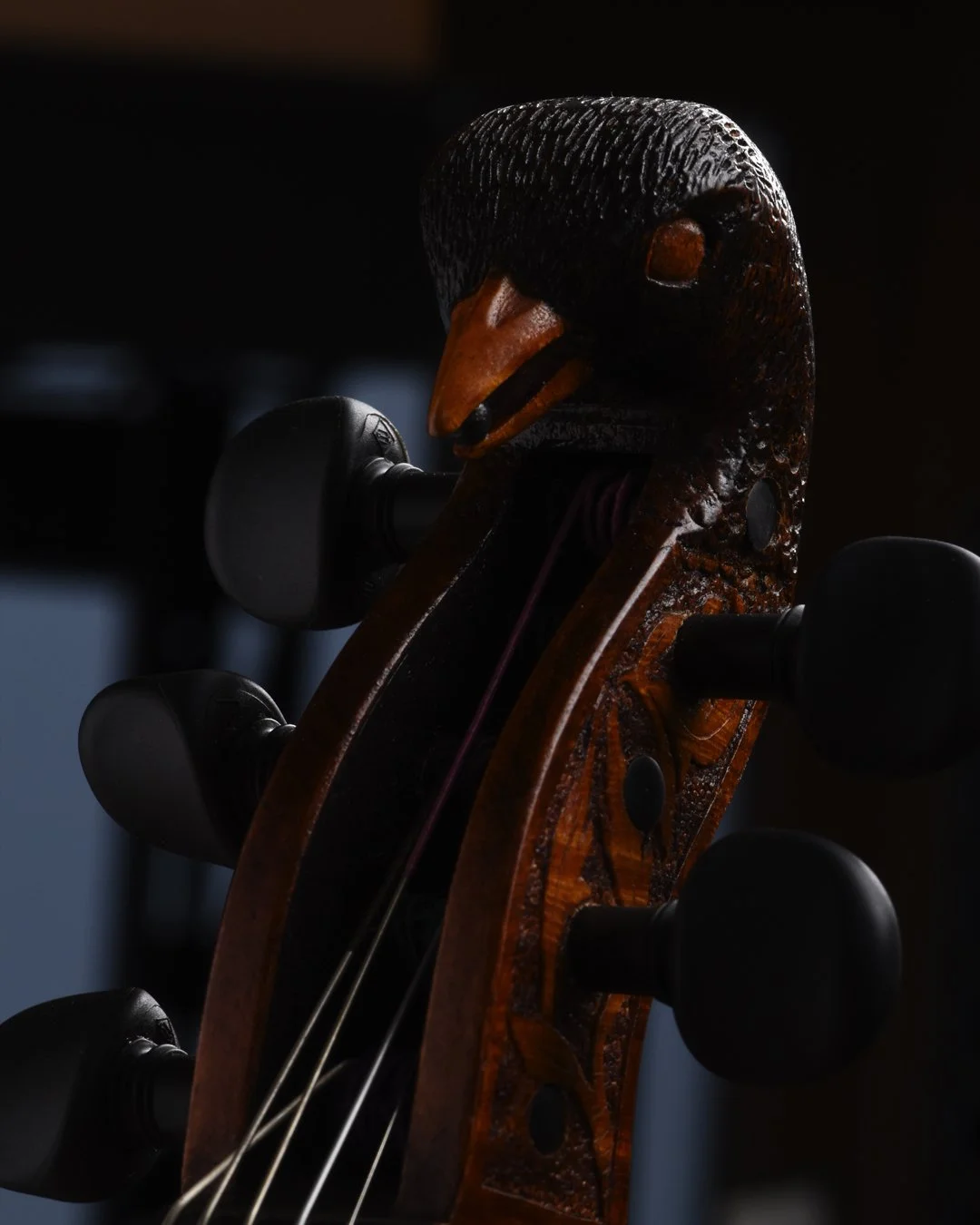 blackbird02.jpg