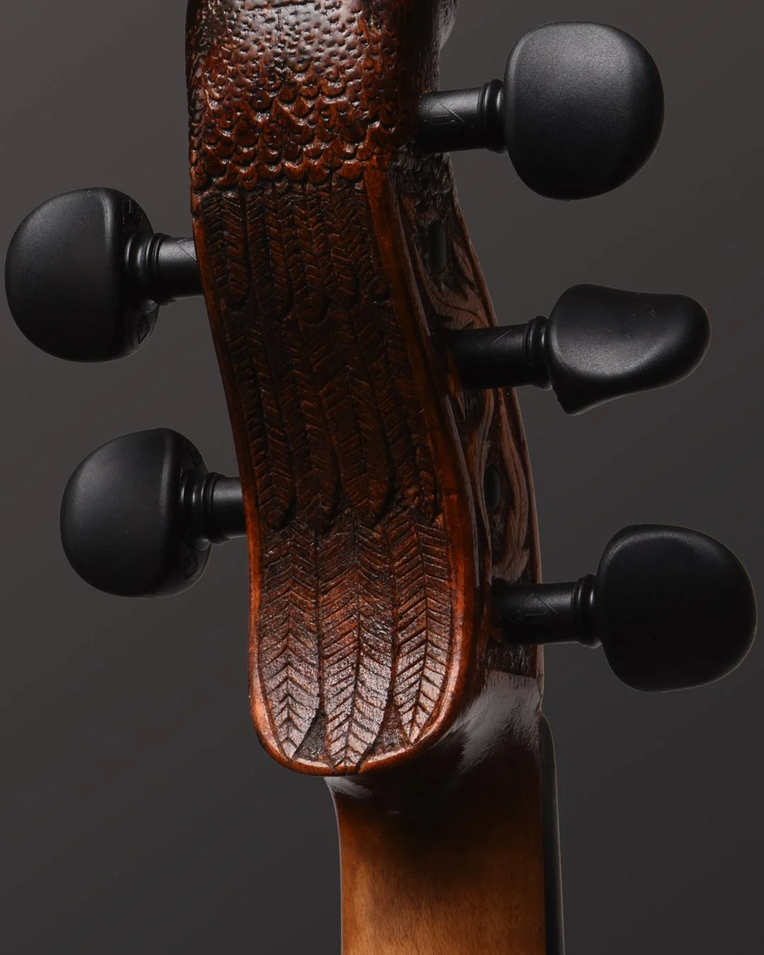 blackbird03.jpg