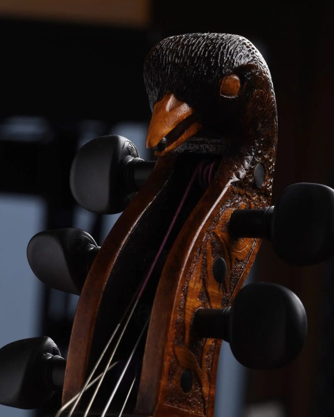 The blackbird violin is fully fledged and ready to fly the nest! It&rsquo;s been such a delight to make this 5-string for @rhiannontakel . I particularly enjoyed carving the beak, and carefully putting the little lapis lazuli bilberry in place. 

#vi