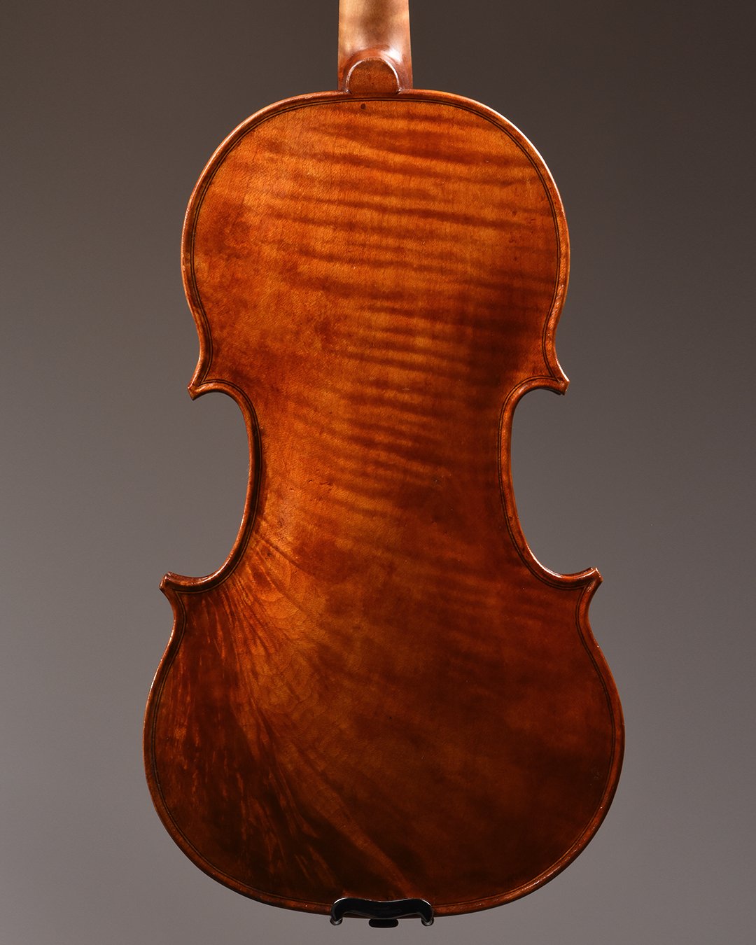 sycamore03.jpg