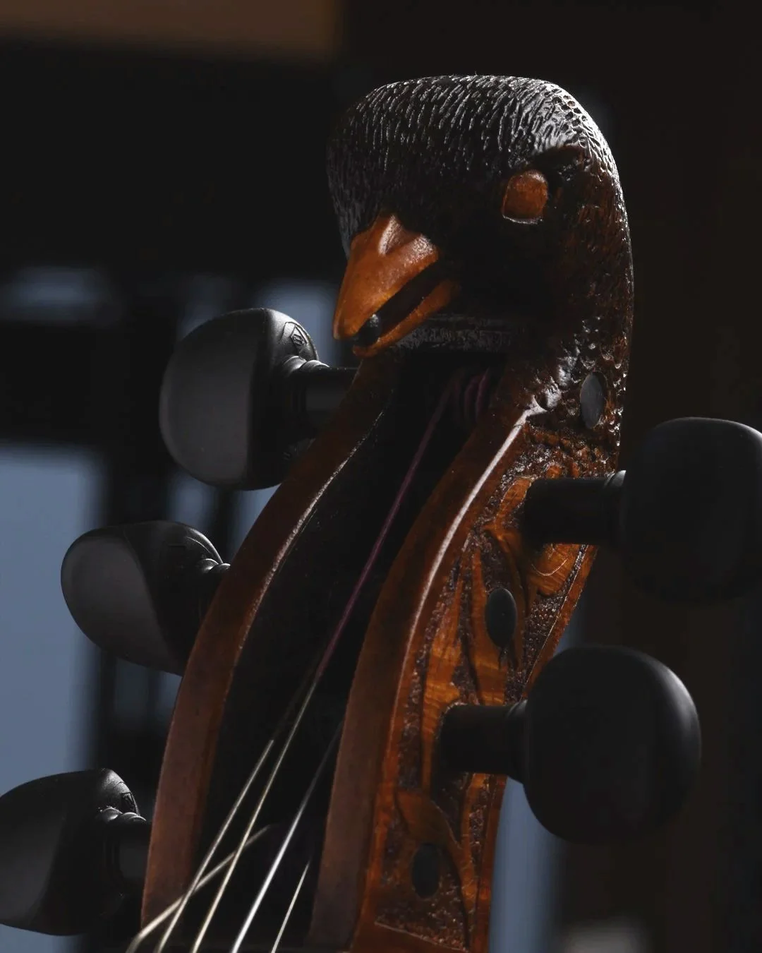 The Blackbird Violin