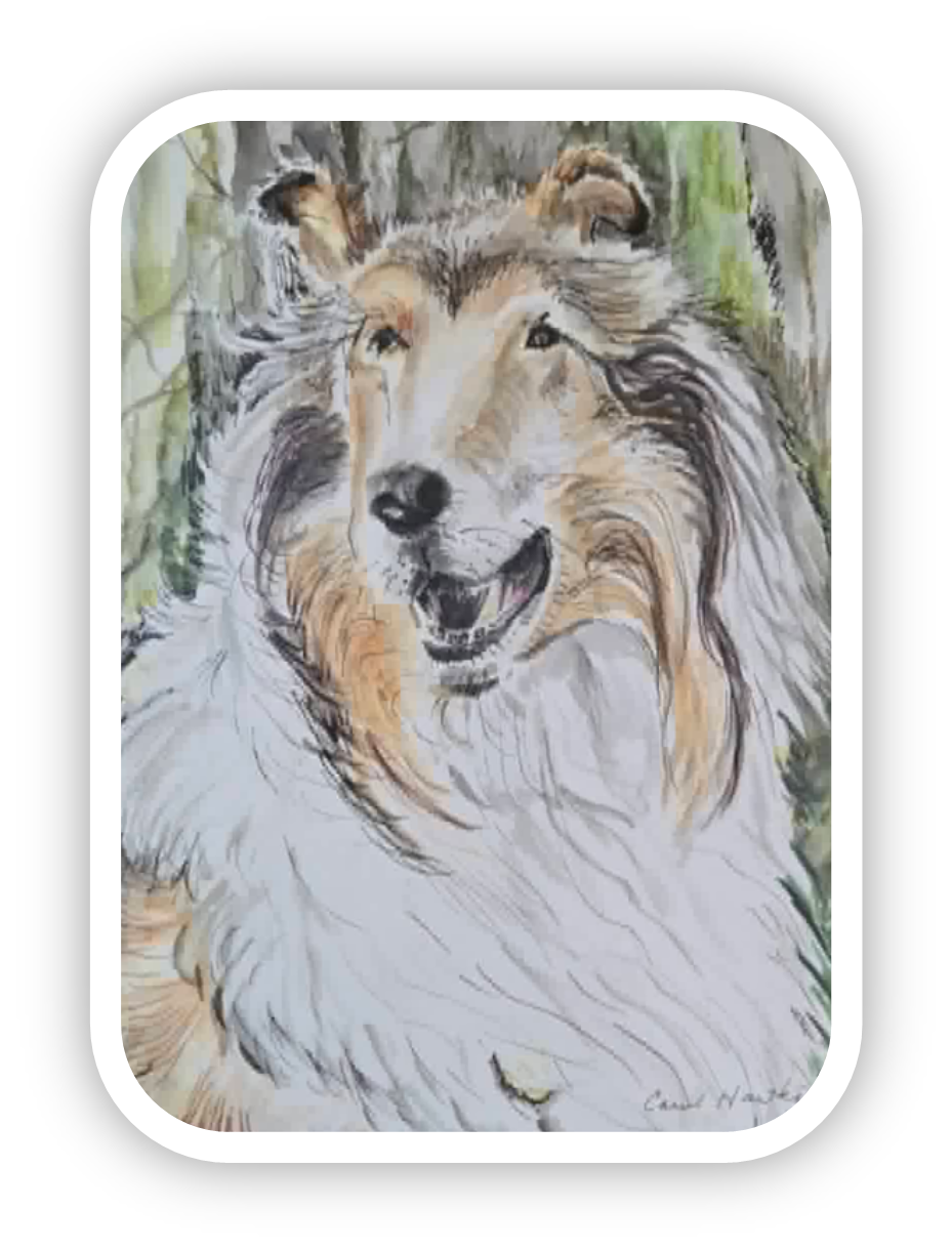 CollieFramed.png