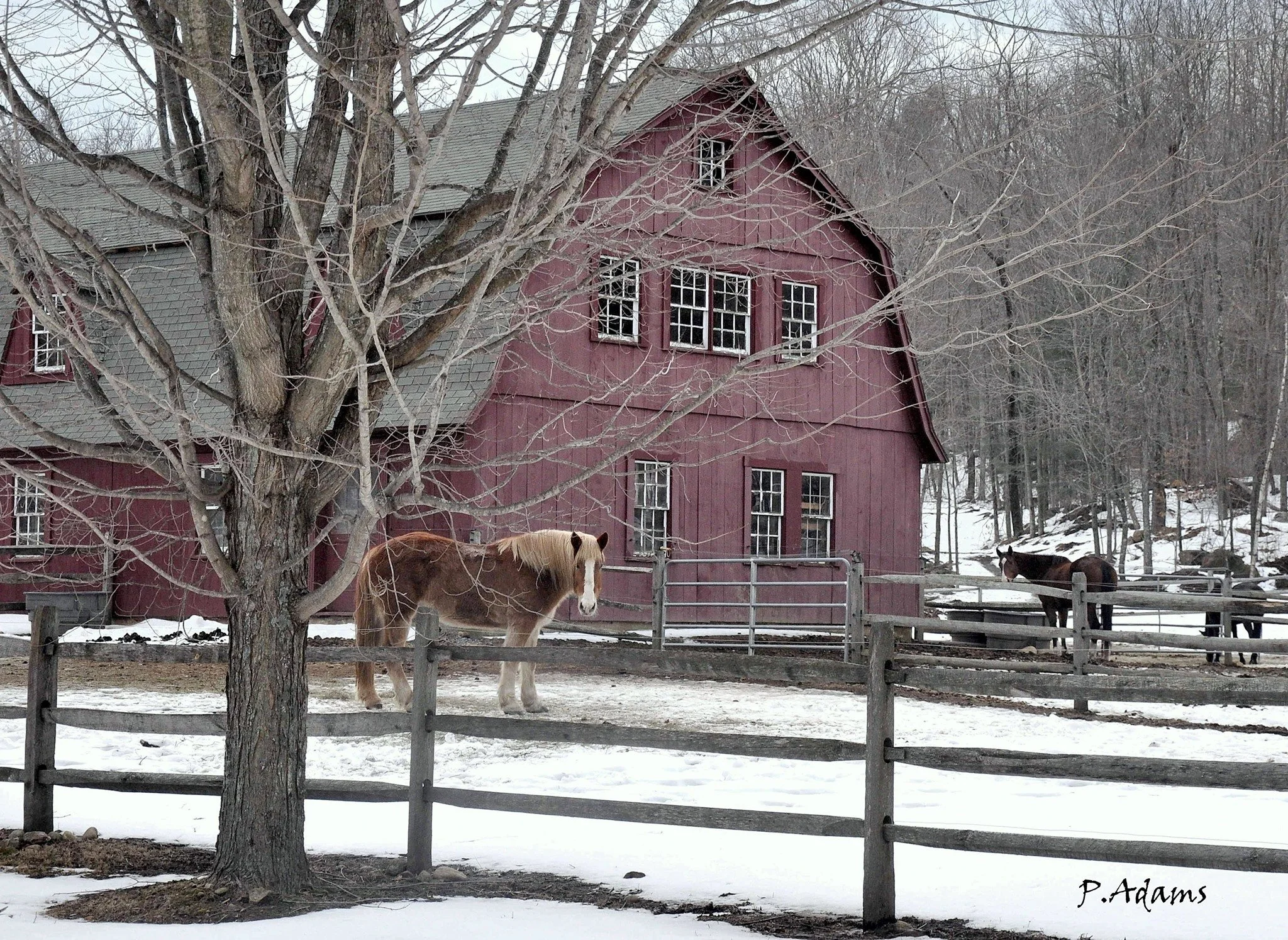 6RedBarnNB.jpg