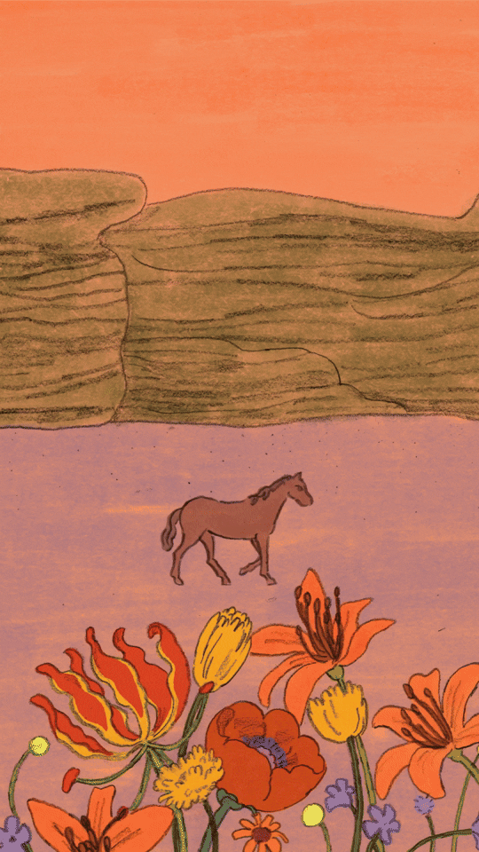 Year Of The Fire Horse