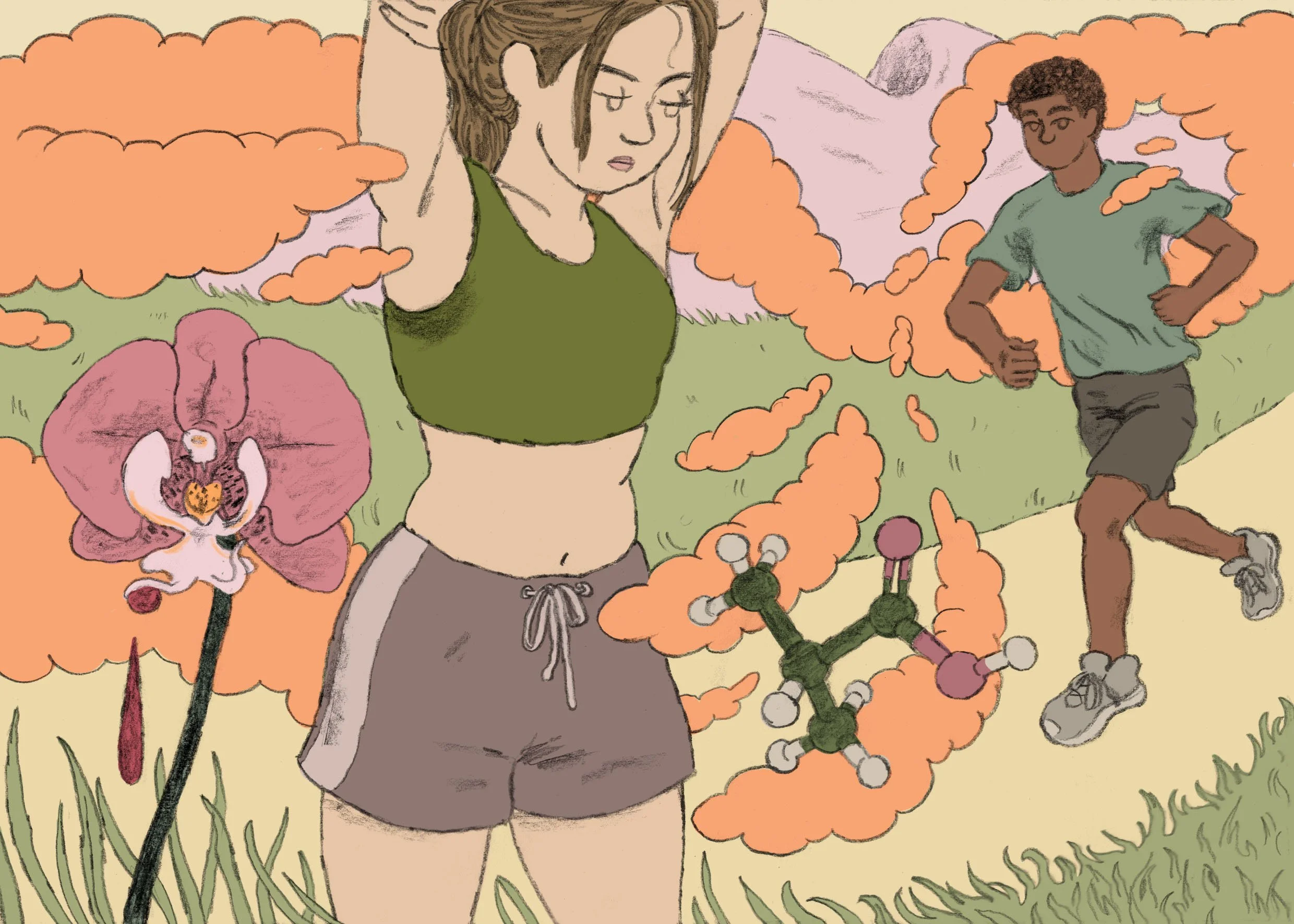 The scent of love: how pheromones may guide partner selection