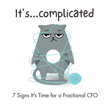 7 Signs It’s Time for a Fractional CFO